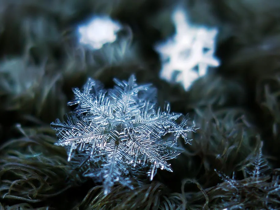 snowflake-closeup-13.jpg