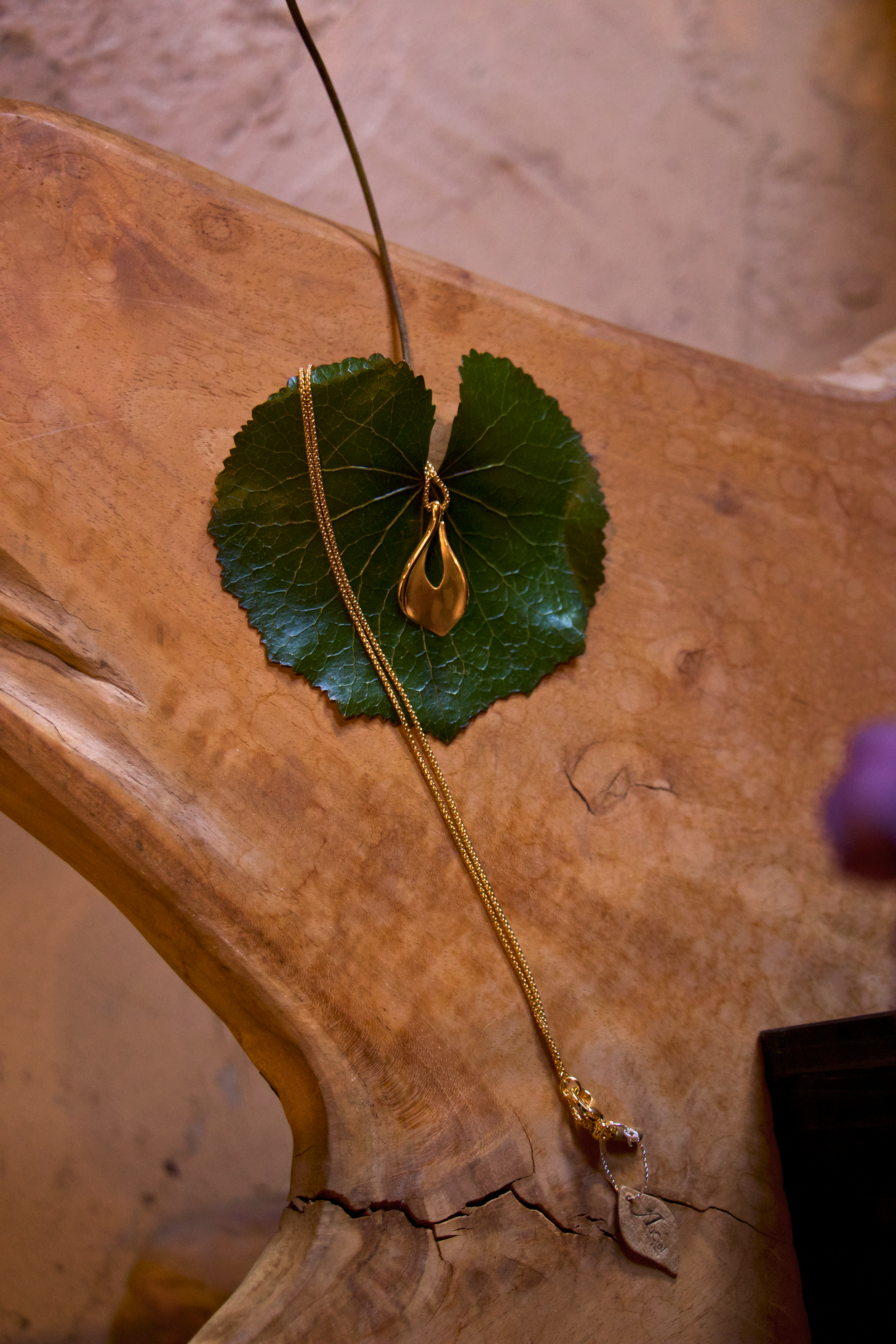 9038ca07-d9ca-47b8-af30-6dd1bcd2957c (1).png