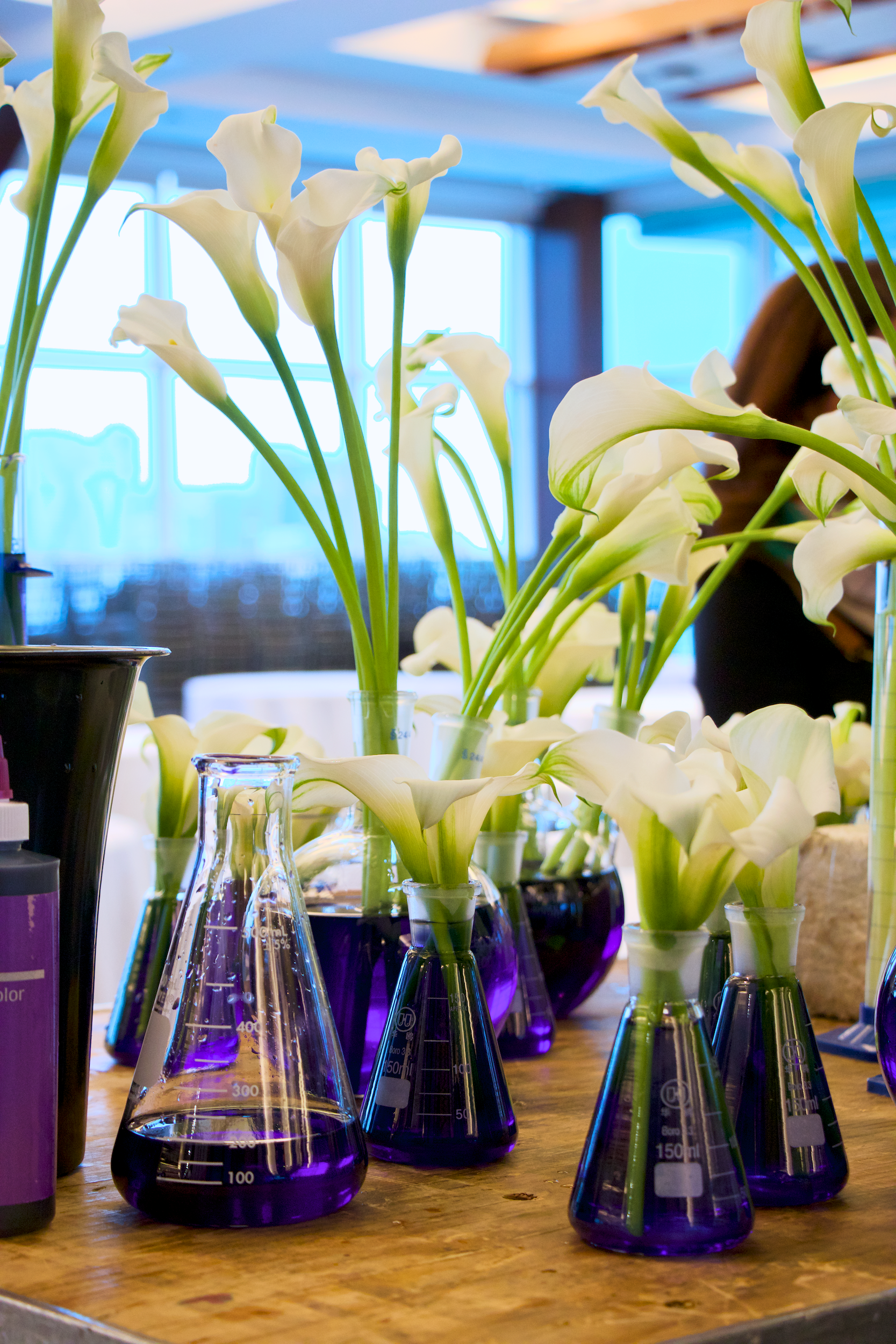 31.png