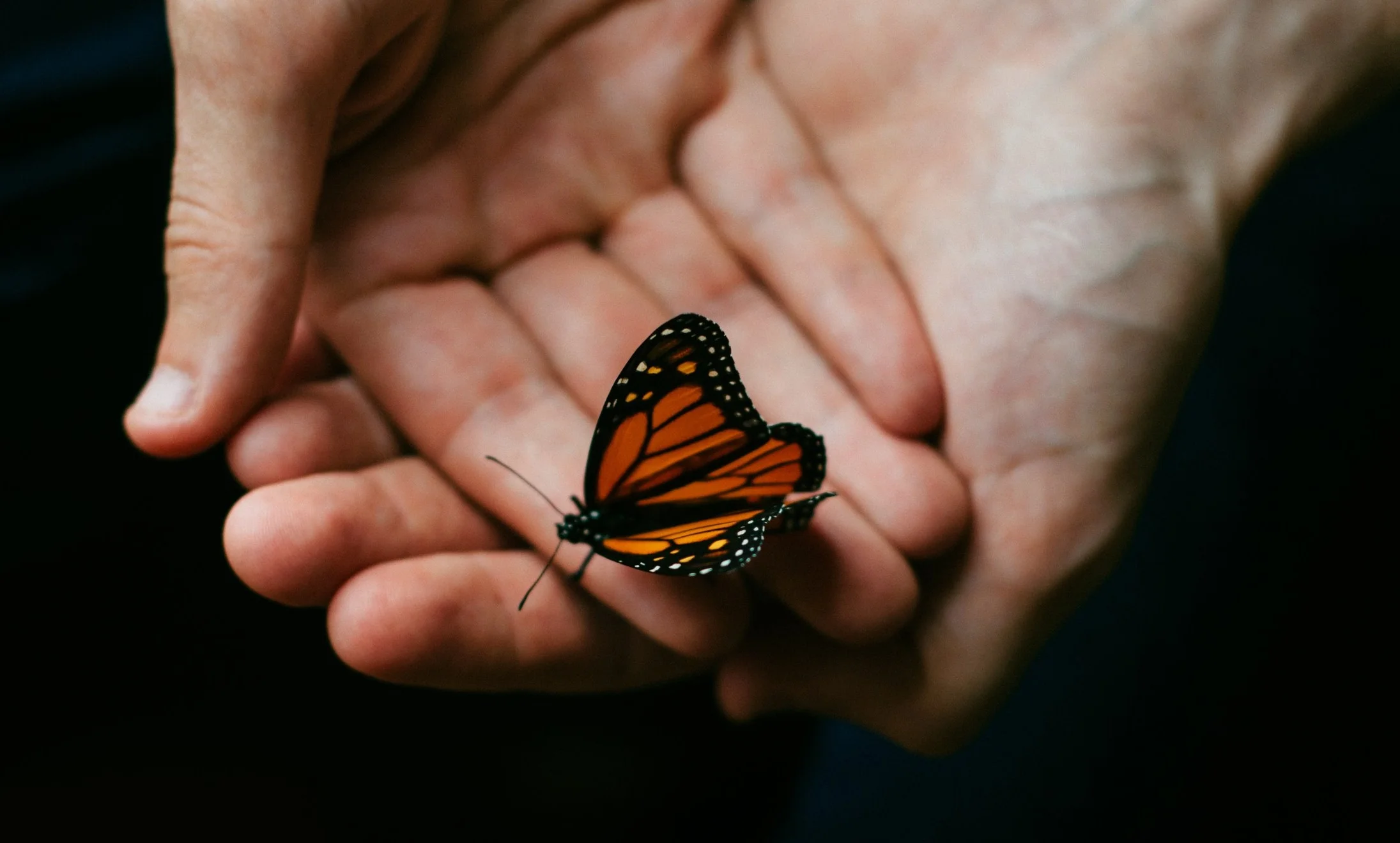 Photo by Mathias Reed on Unsplash
