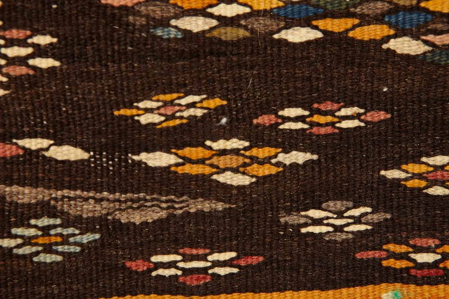 2017_ Darna Design1986.jpg