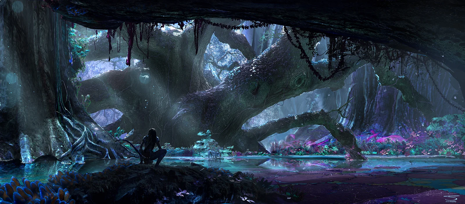 Pandora