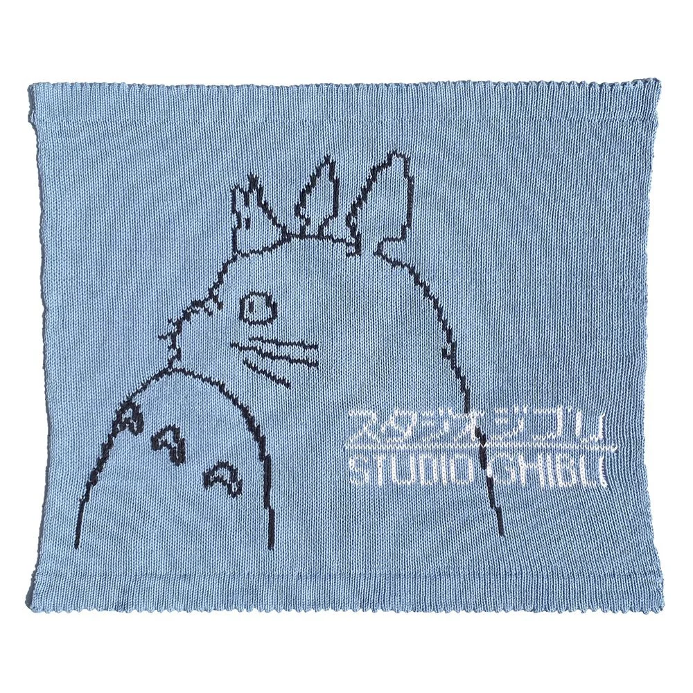 totoro+.jpg