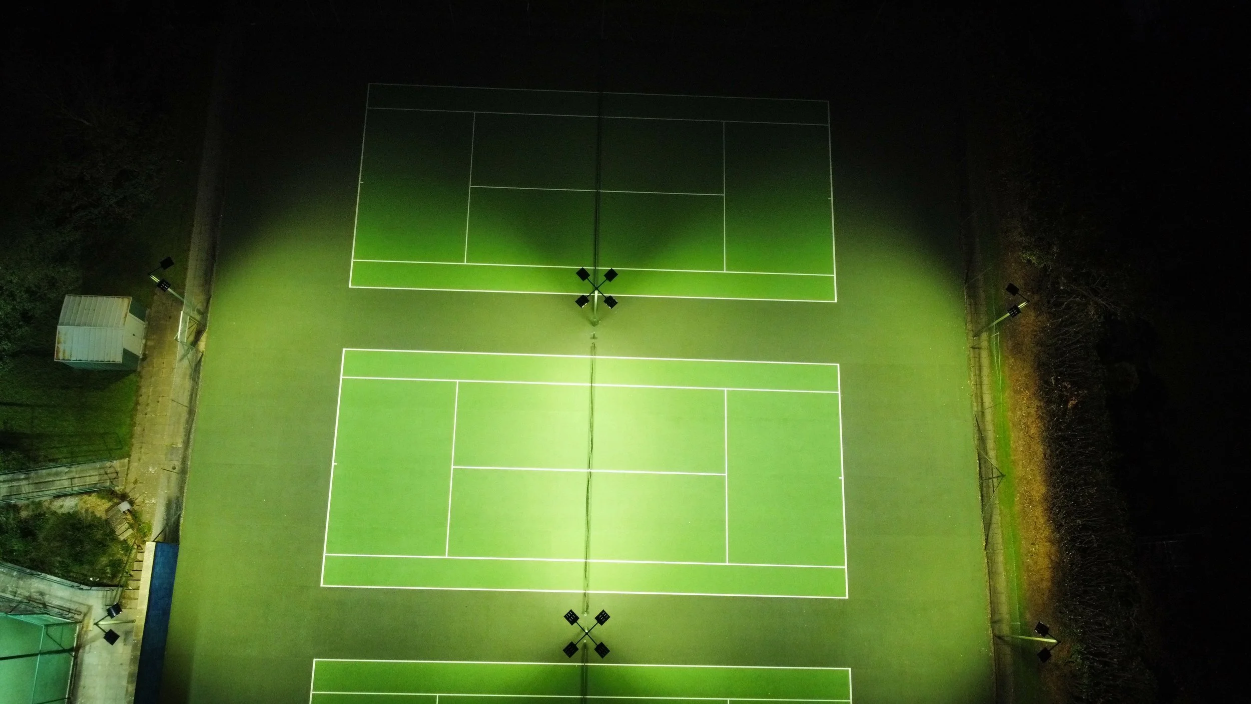 Bellingham Headview .jpg