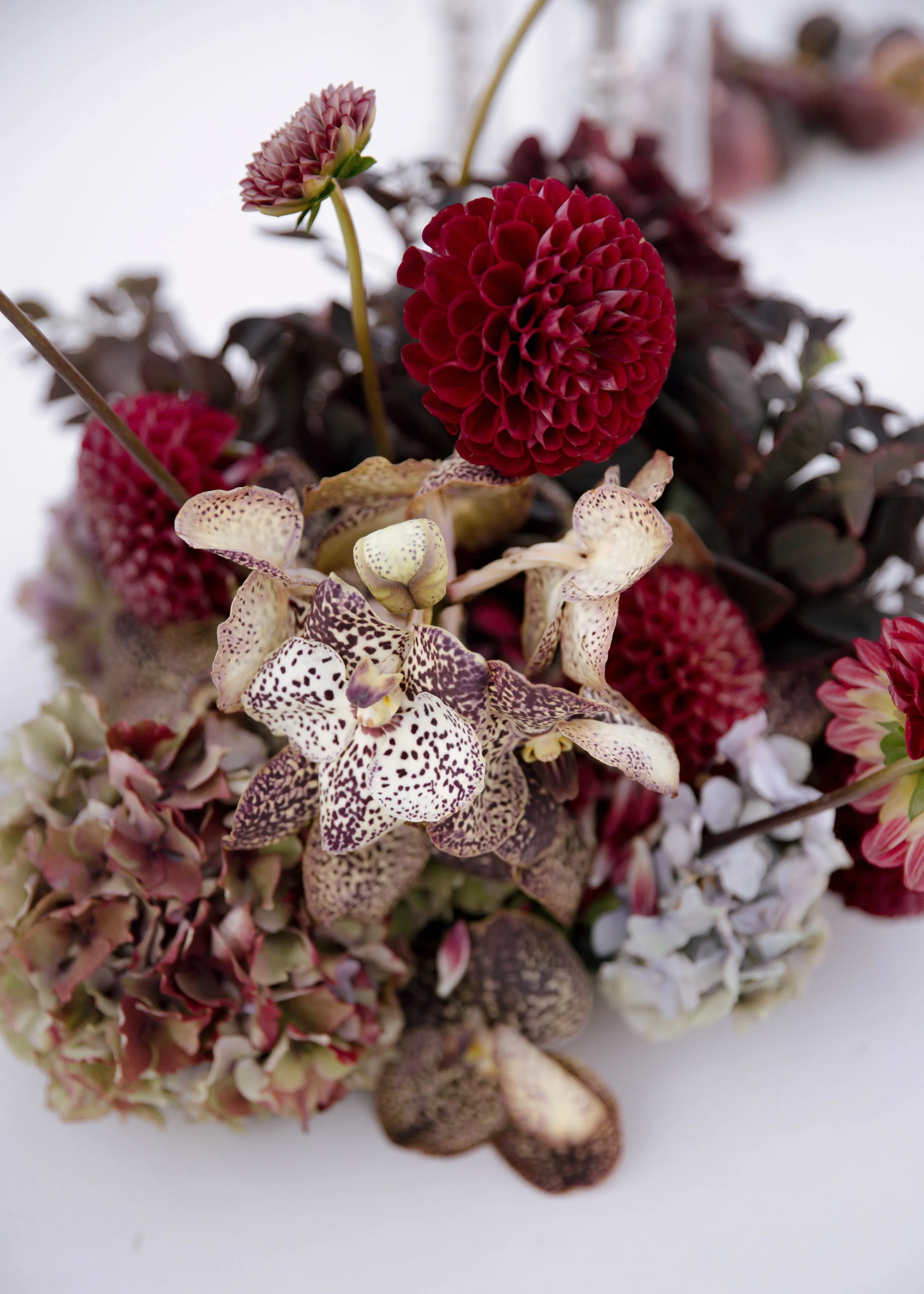 tat+sergefairmontgranddelmarcaliforniawedding-3542.jpg