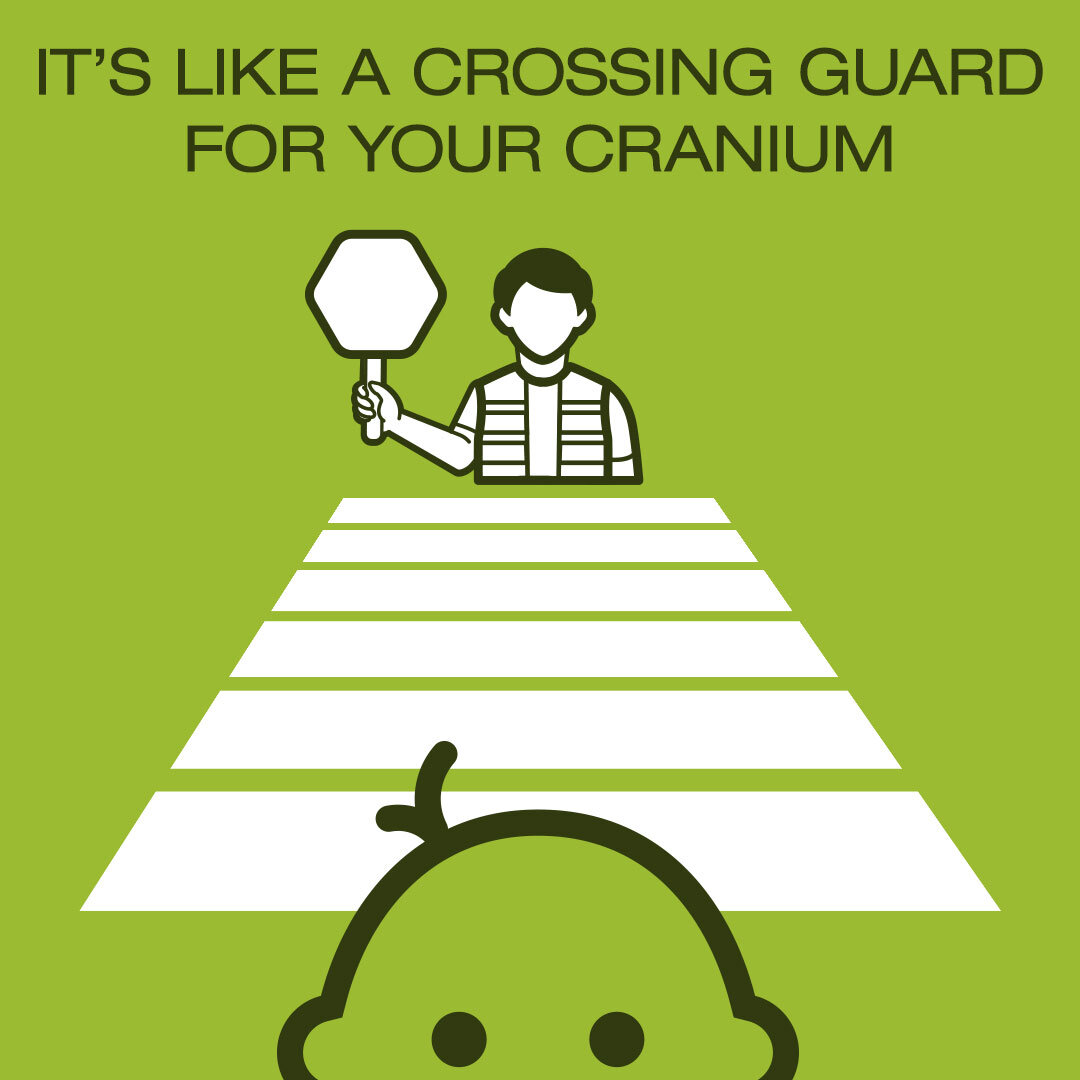 OrthoSTARband_Education_CrossingGuard-02.jpg