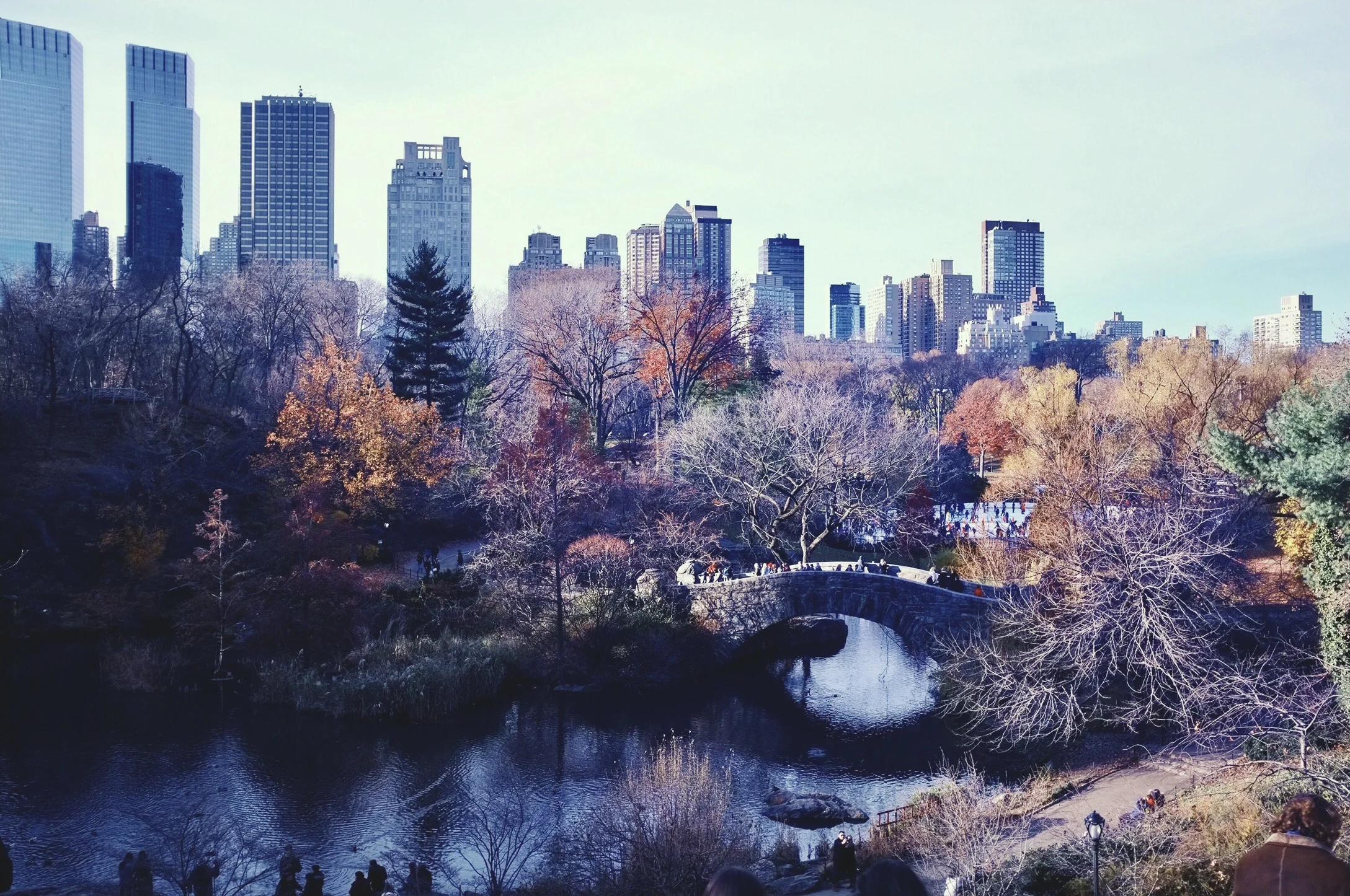 CentralPark.jpg