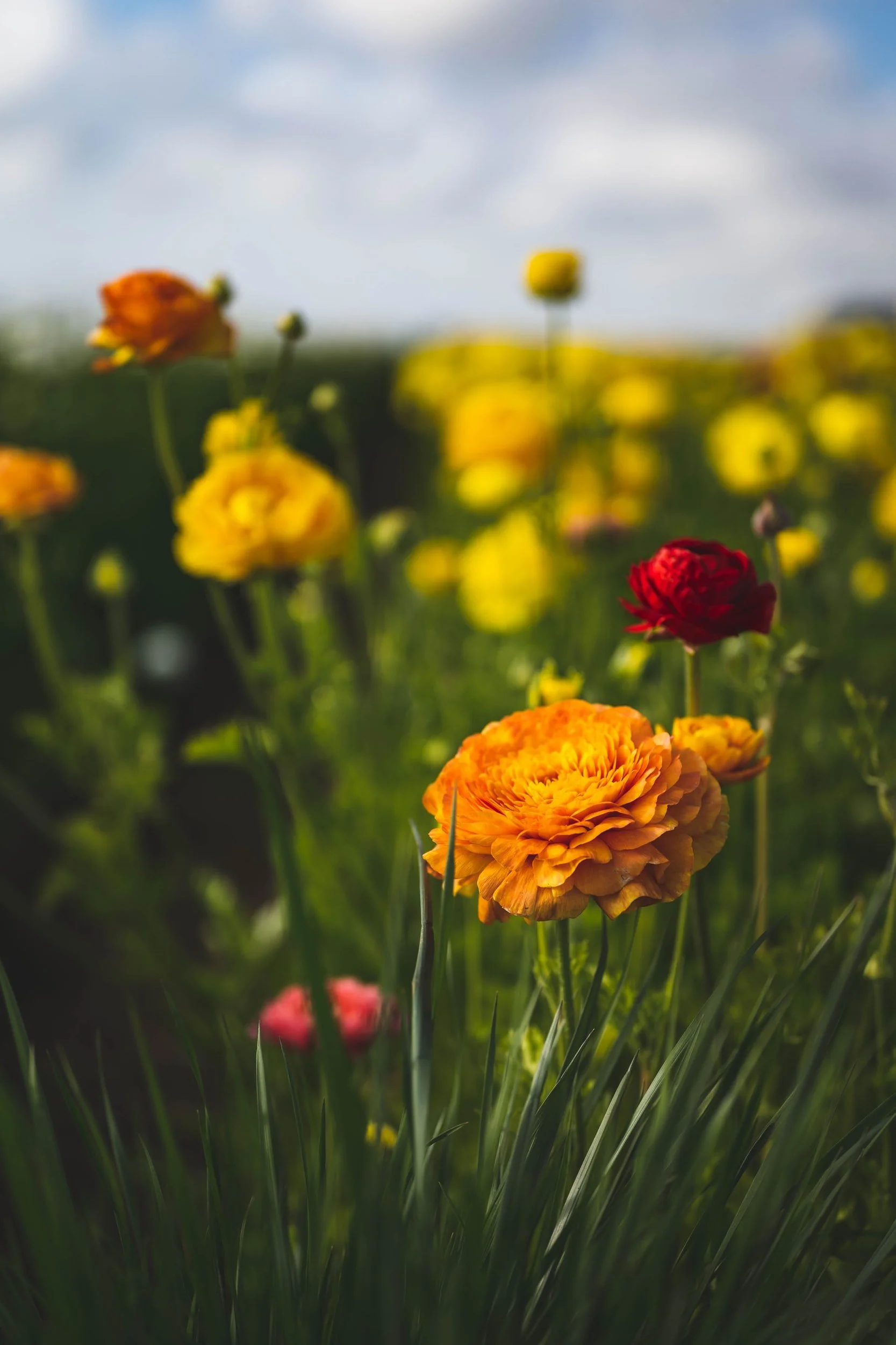 MK Life Tips: April 2022 Events Calendar