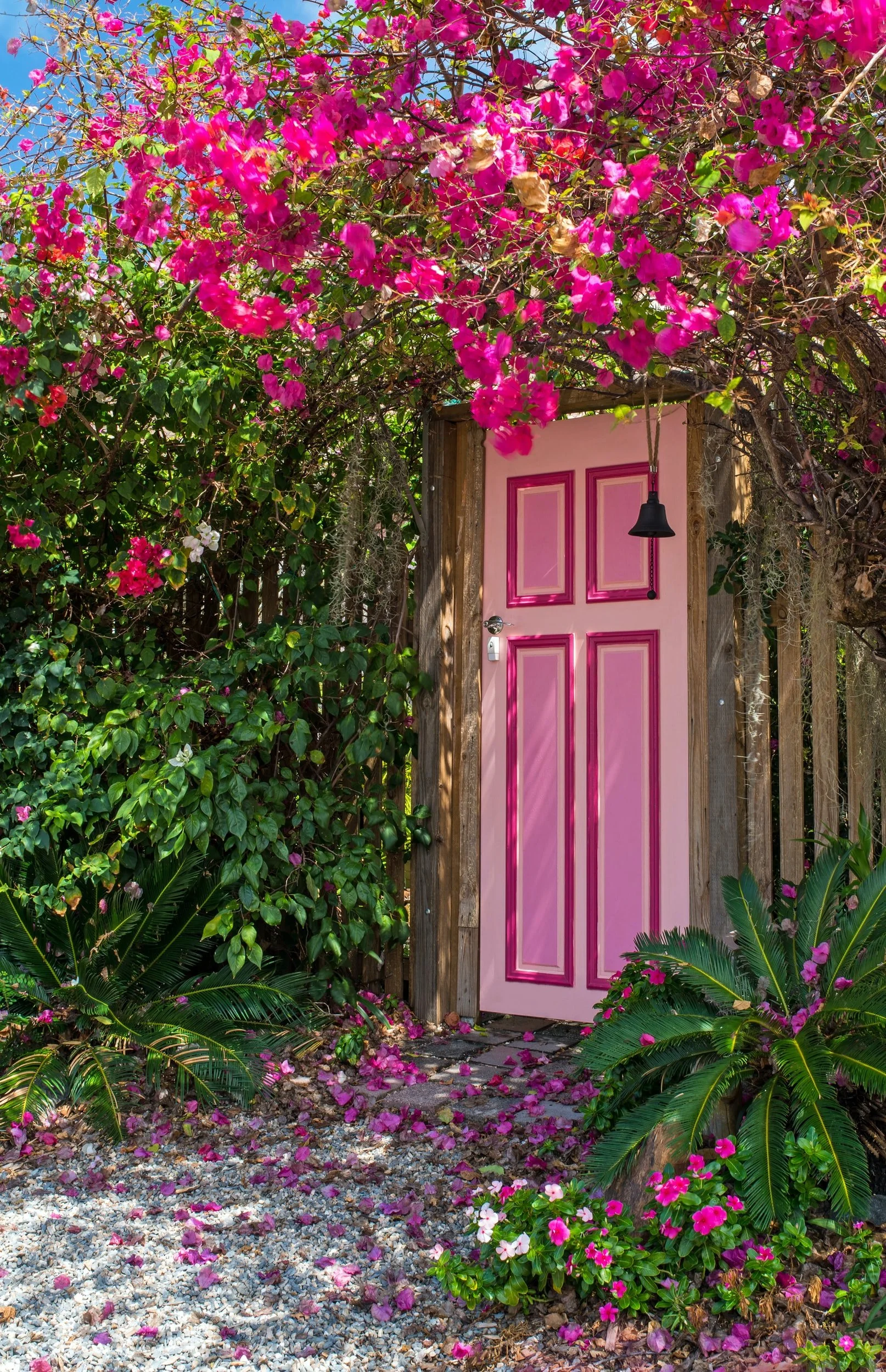 MK Life Tips: Plants That Thrive in San Diego's Climate