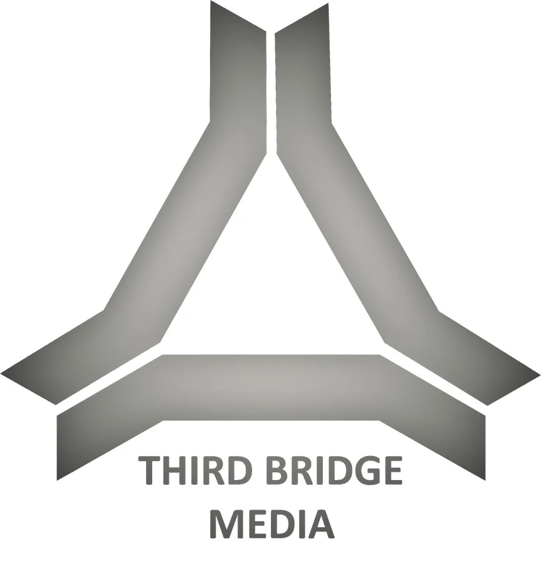 bridge_logo_with_text_2.1.jpg