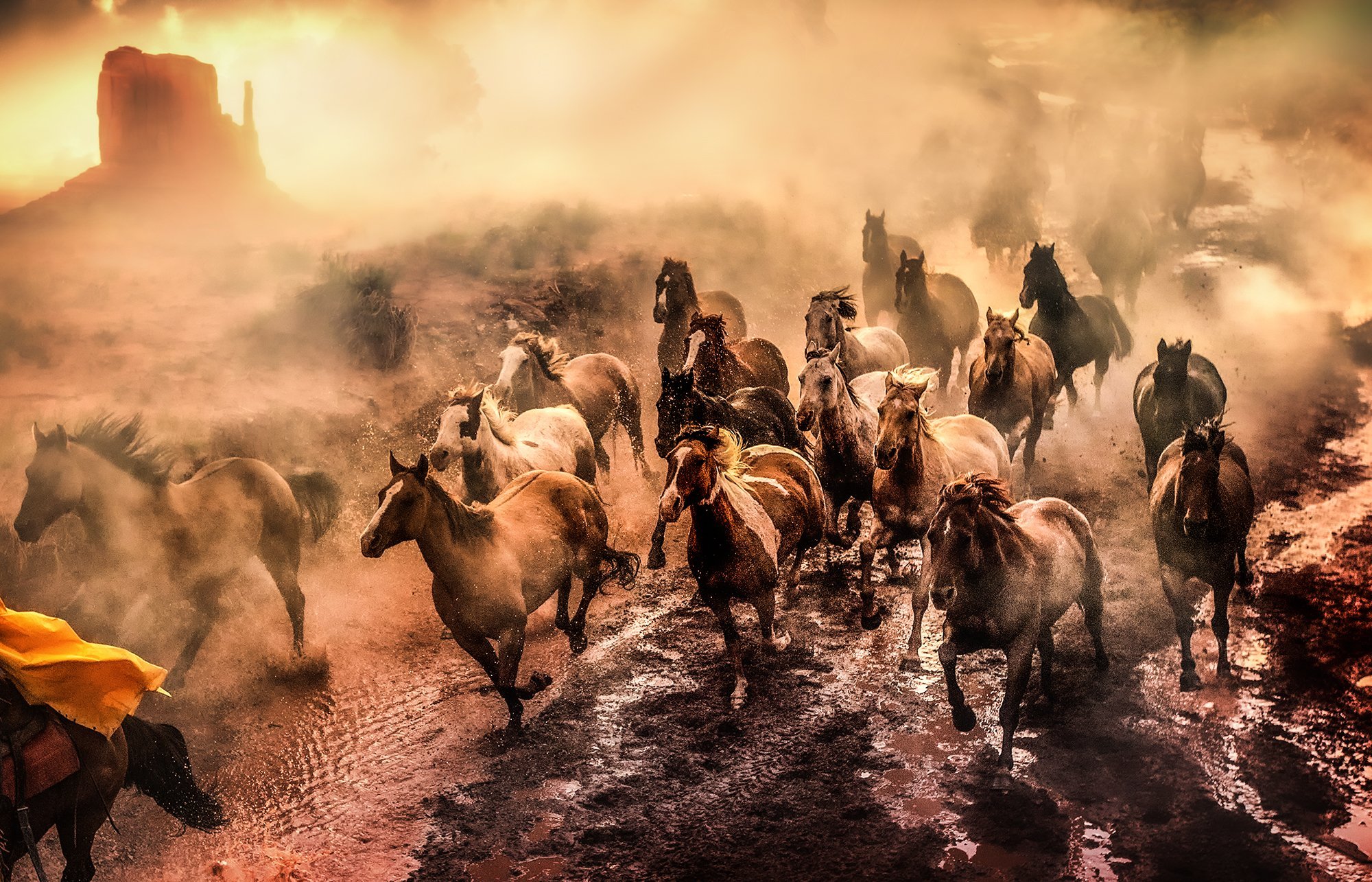 Cowboys and Horses Running