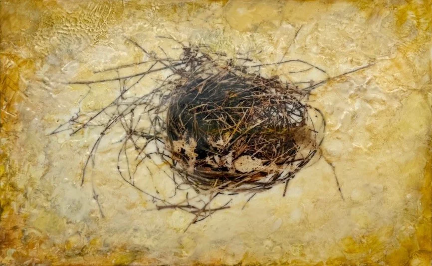 Nest and Leaves