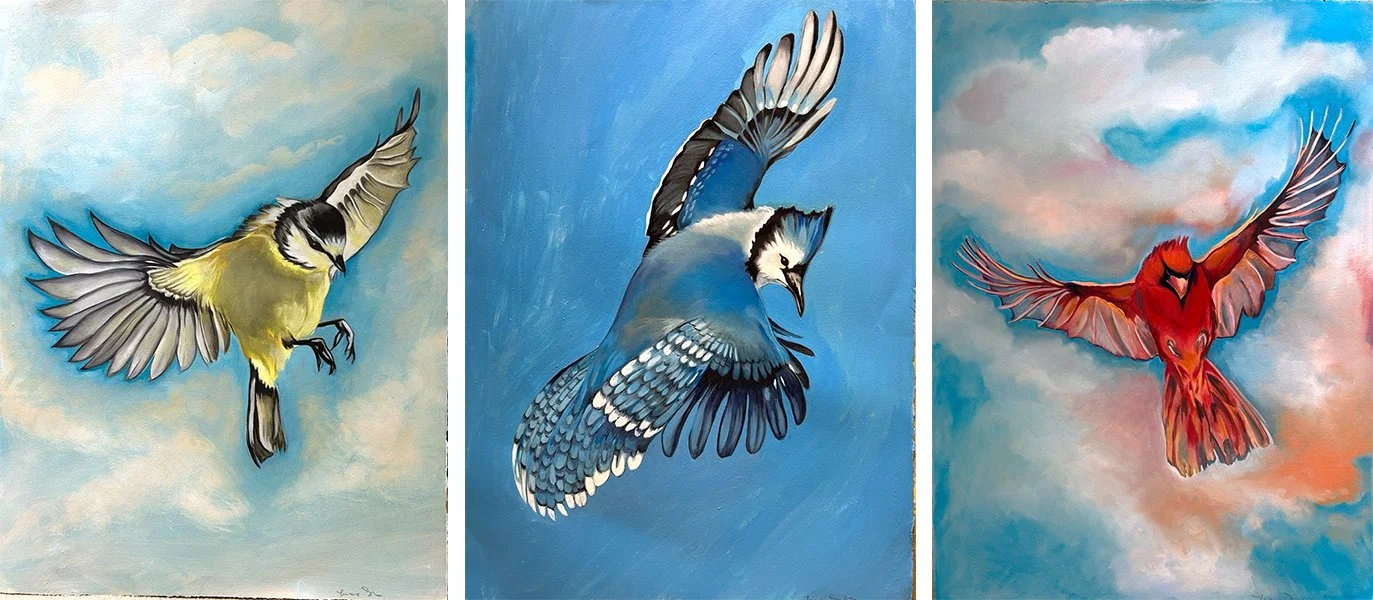 Black Capped Chickadee, Blue Jay, and Cardinal 