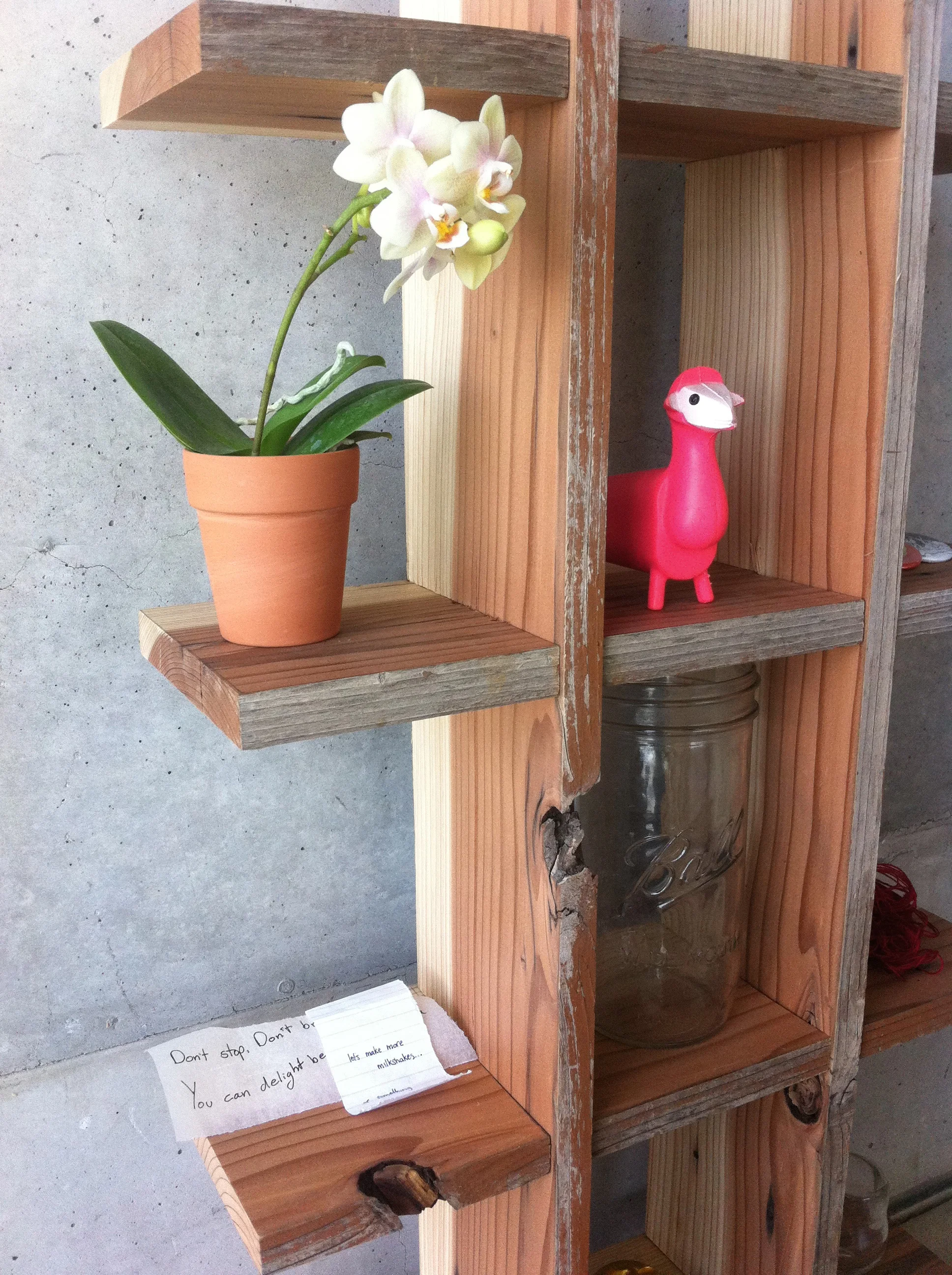 Wunderkammer2.jpg