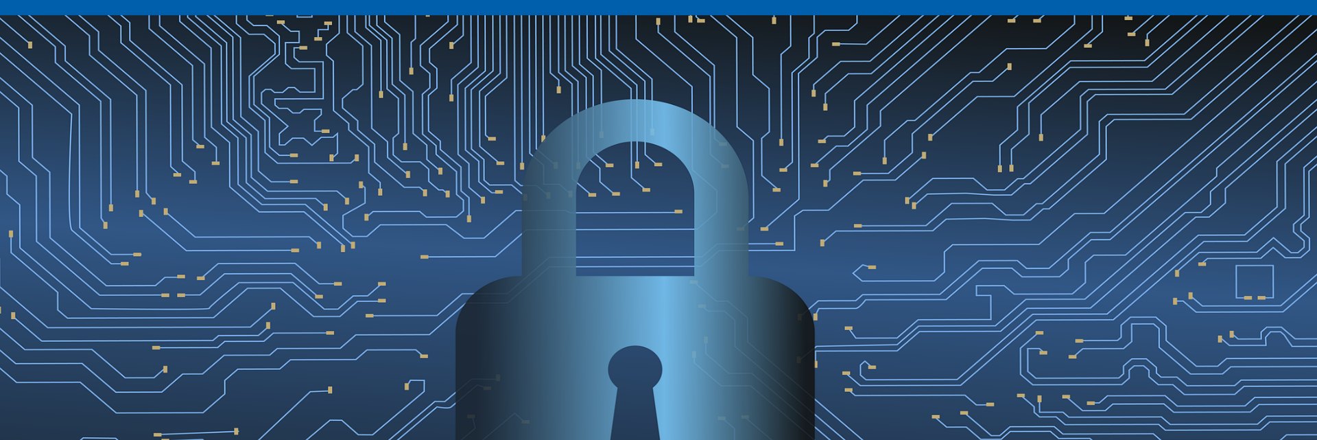 cyber.jpg