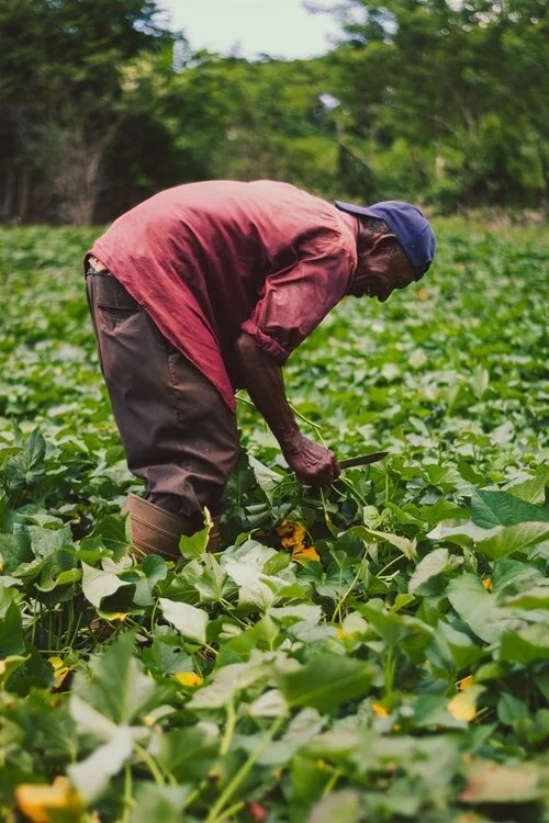 Reflexos da pandemia do coronavírus nos contratos trabalhistas