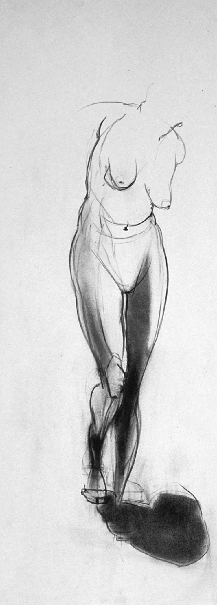 Human Figure