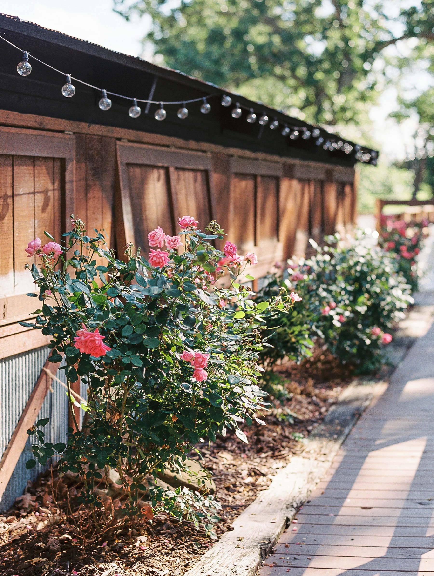 Barn at The Springs Arkansas Wedding Zimmerman Floral_0057.jpg