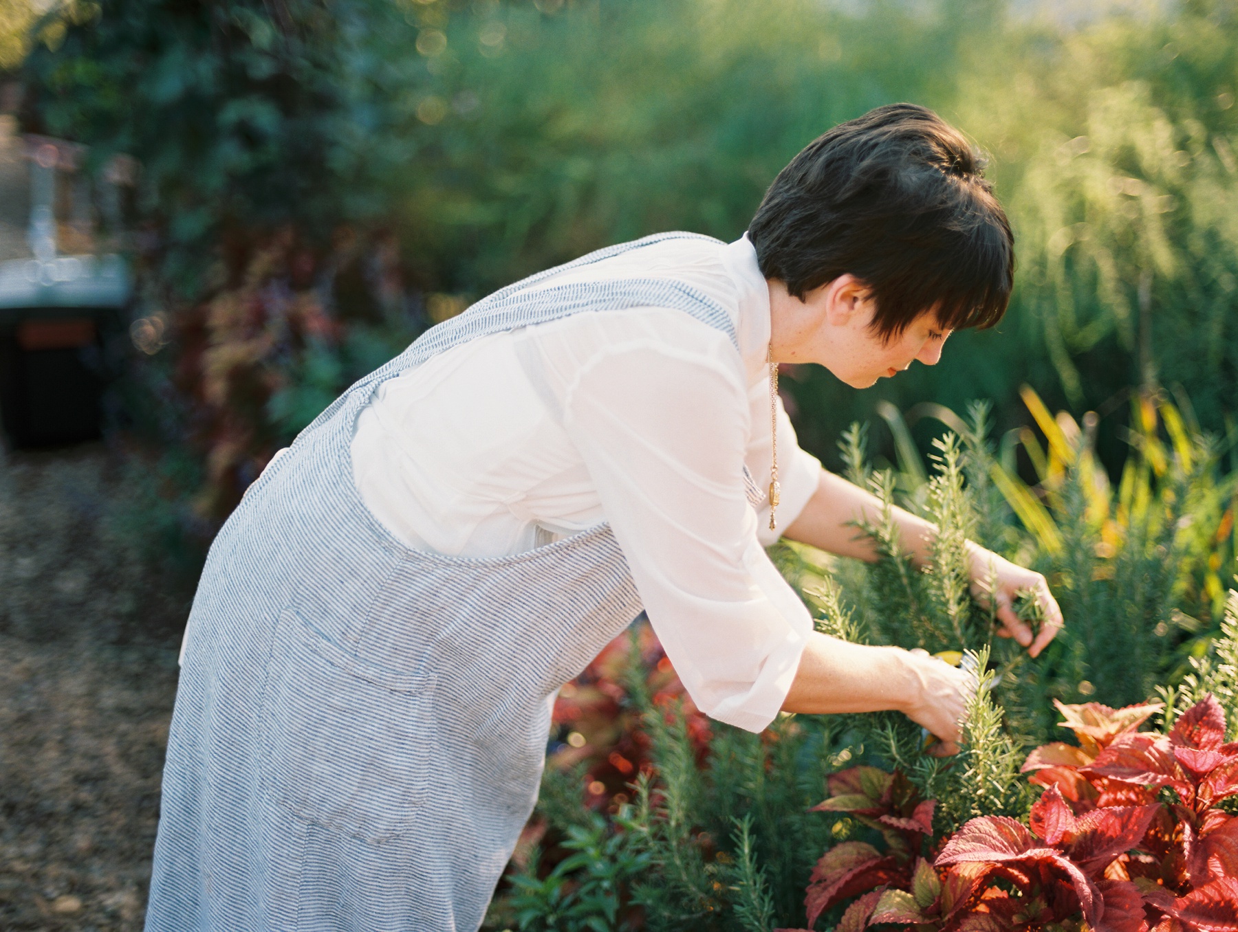 Moss Mountain Farms Wedding Arkansas_0024.jpg