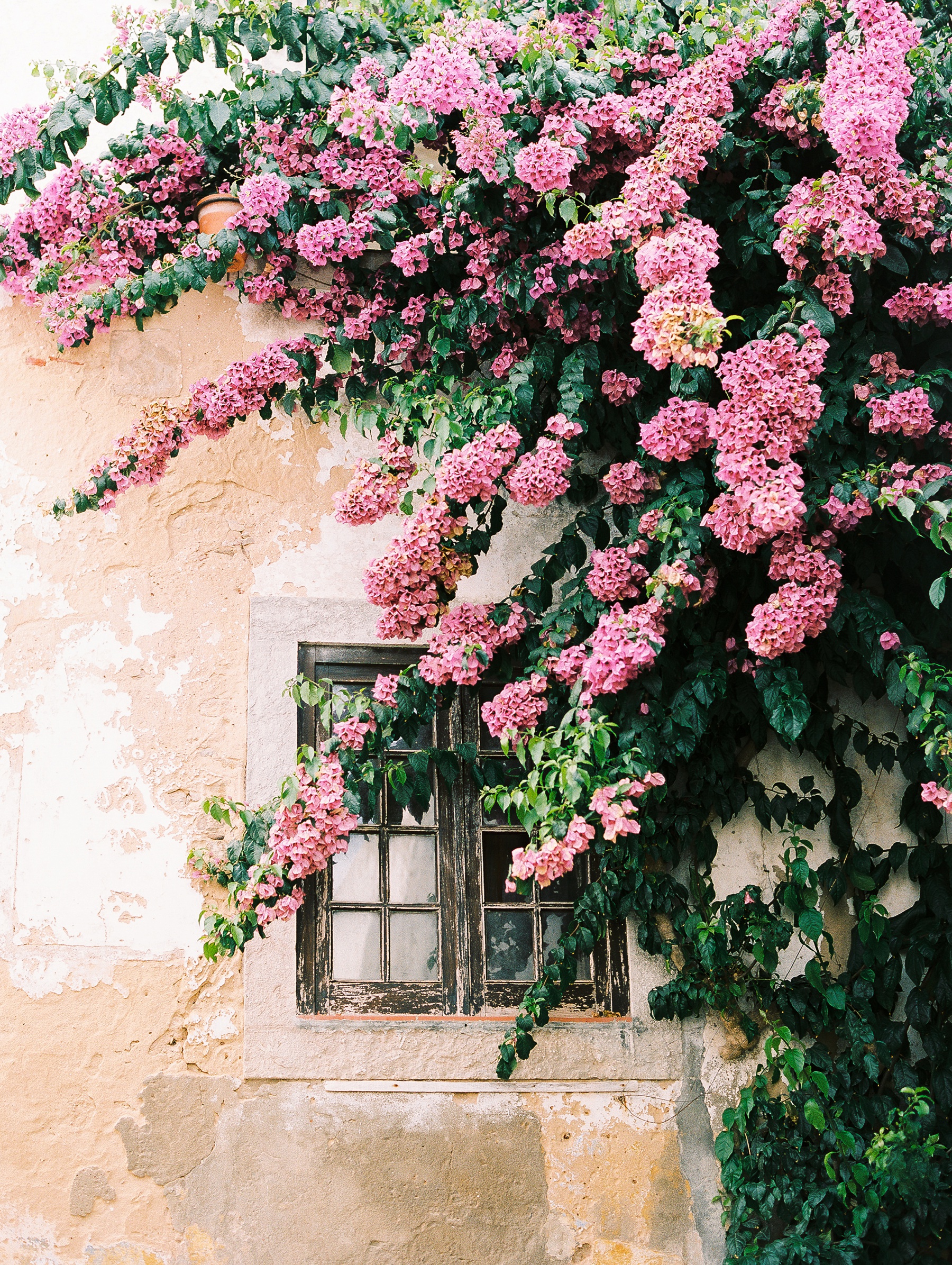 Obidos Portugal Engagement Session Photographer_0601.jpg