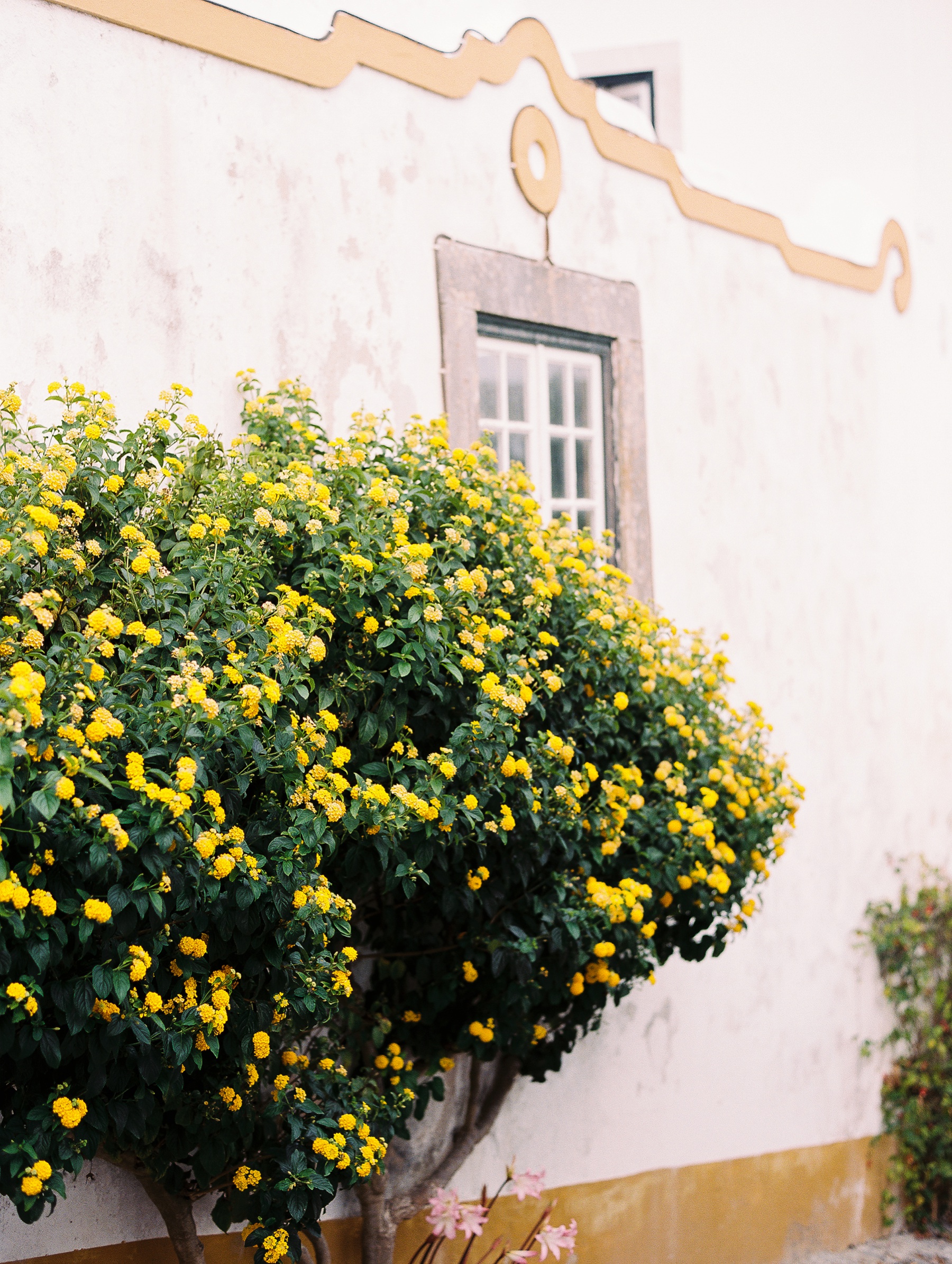 Obidos Portugal Engagement Session Photographer_0615.jpg