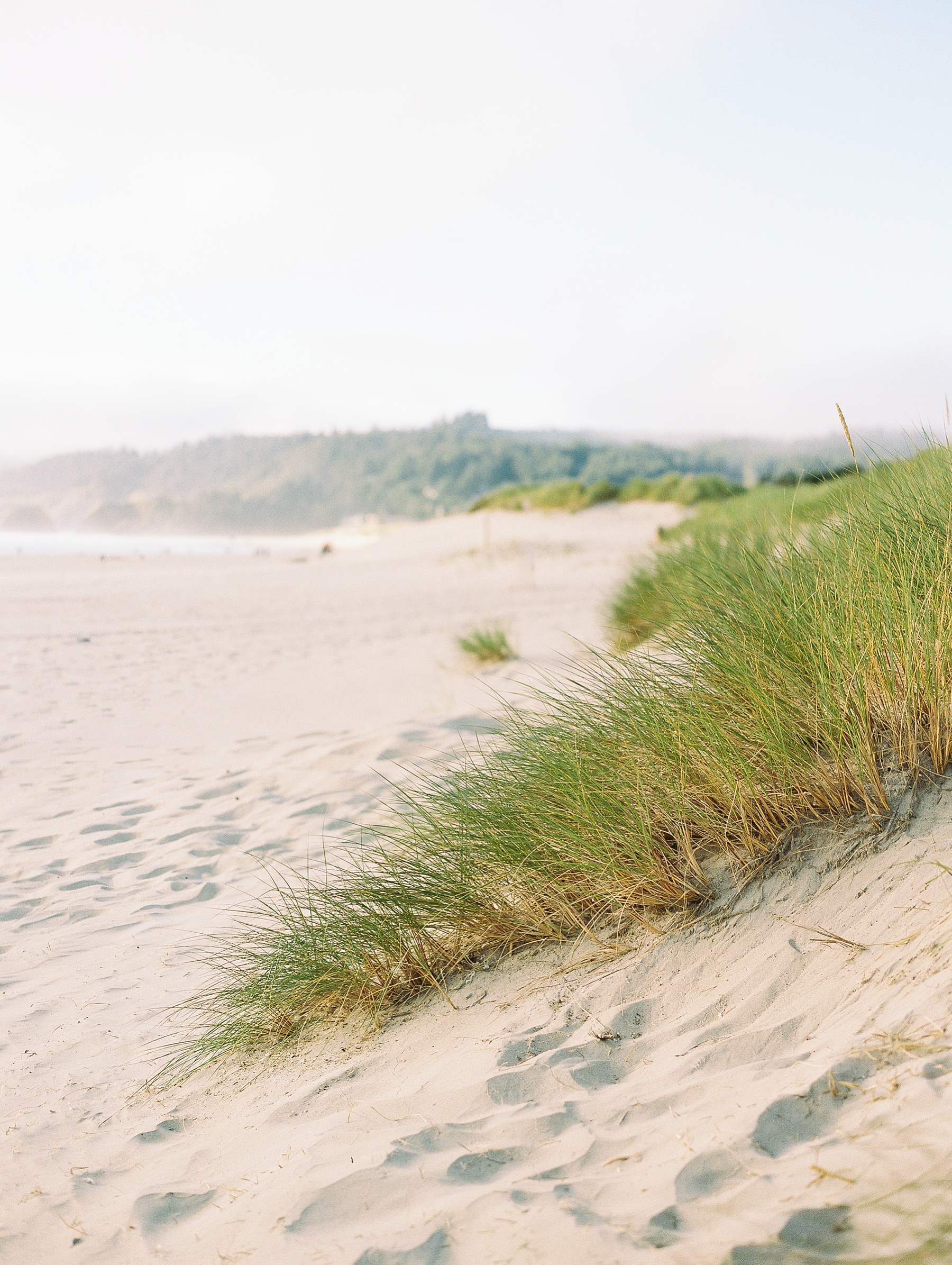 Cannon Beach Oregon Wedding Photographer_1310.jpg