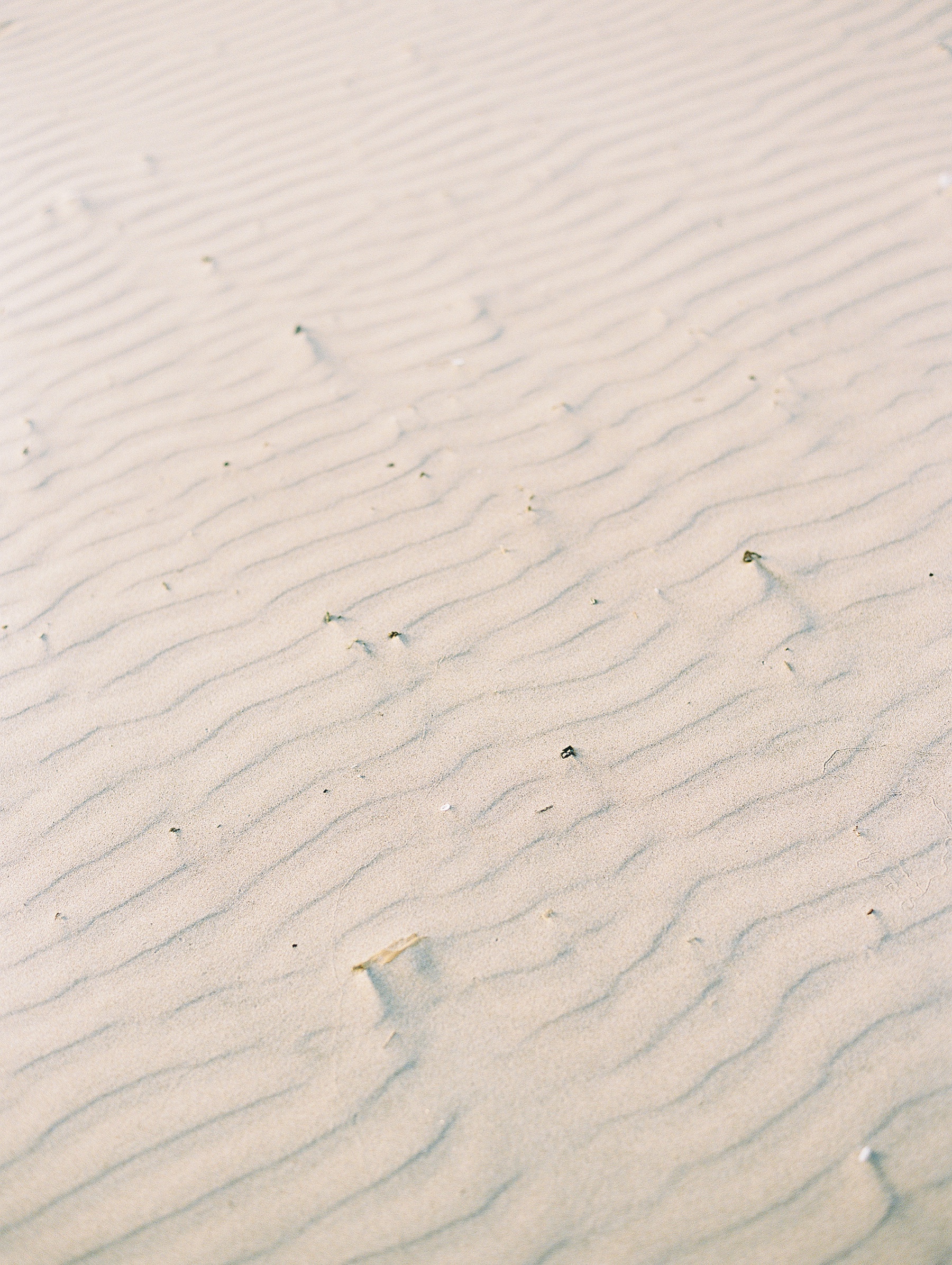 Cannon Beach Oregon Wedding Photographer_1320.jpg