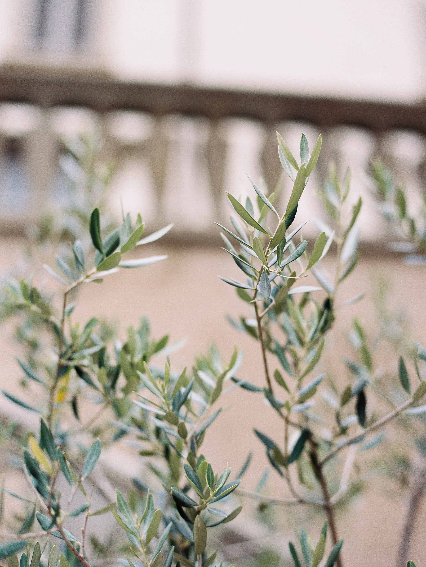 Il Borro Tuscany Italy Wedding Photographer_0756.jpg