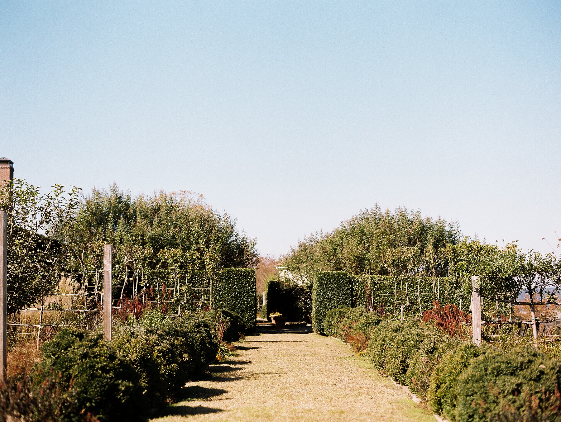 Moss Mountain Farm Wedding Arkansas_1053.jpg