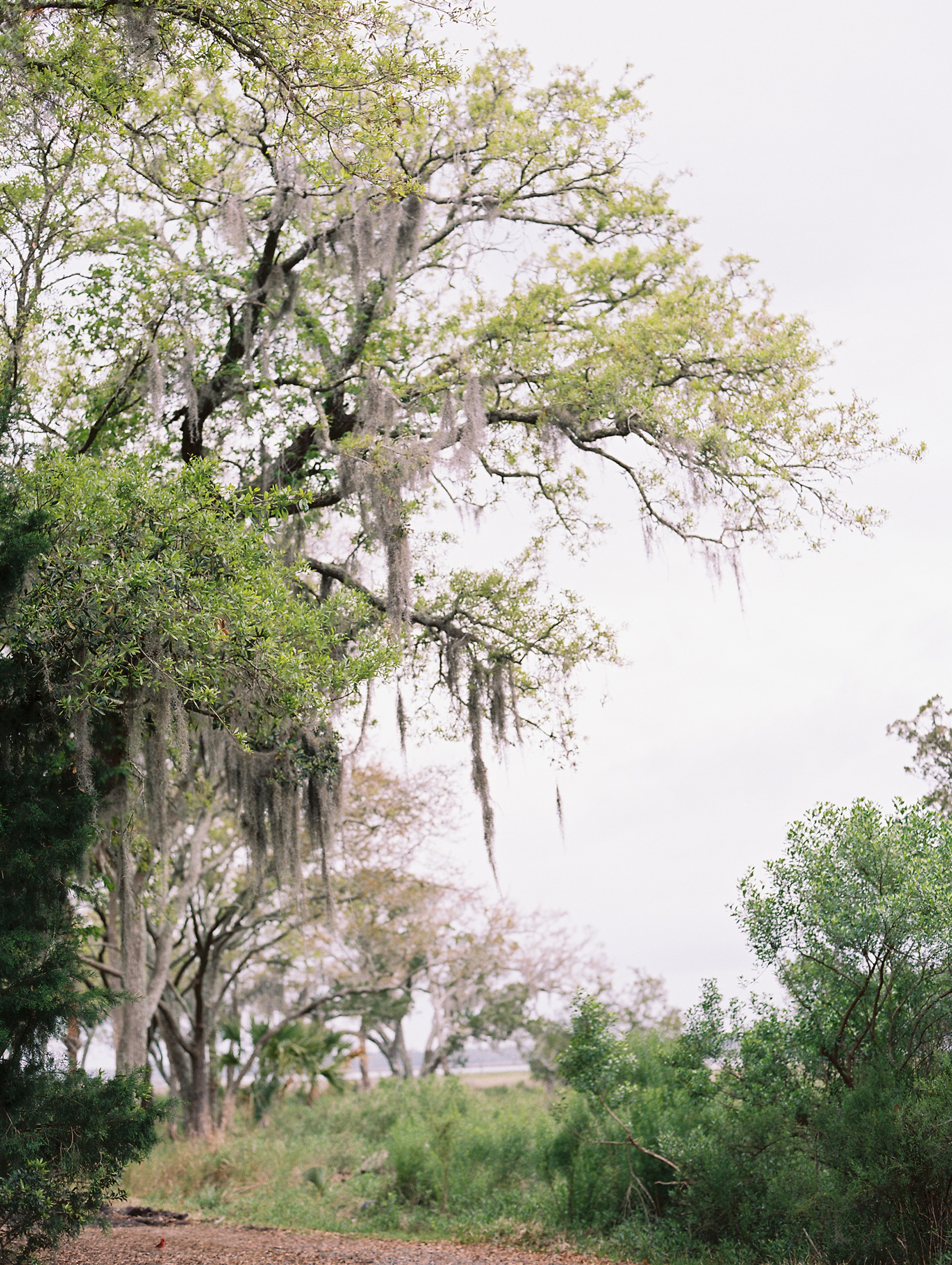 Charleston South Carolina Wedding Photographer_0269.jpg