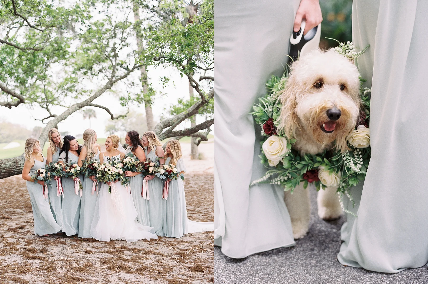 Charleston South Carolina Wedding Photographer_0312.jpg