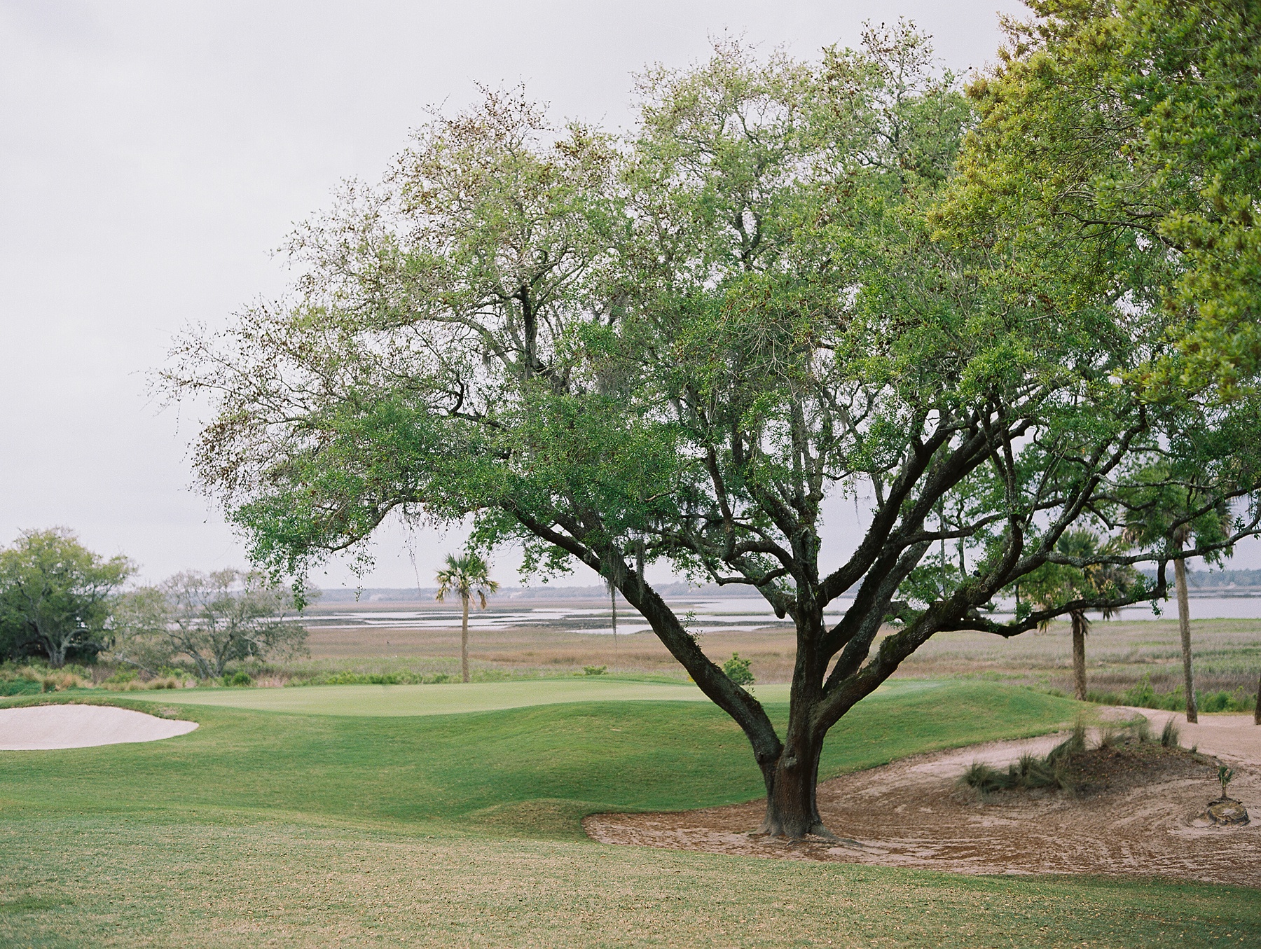 Charleston South Carolina Wedding Photographer_0328.jpg