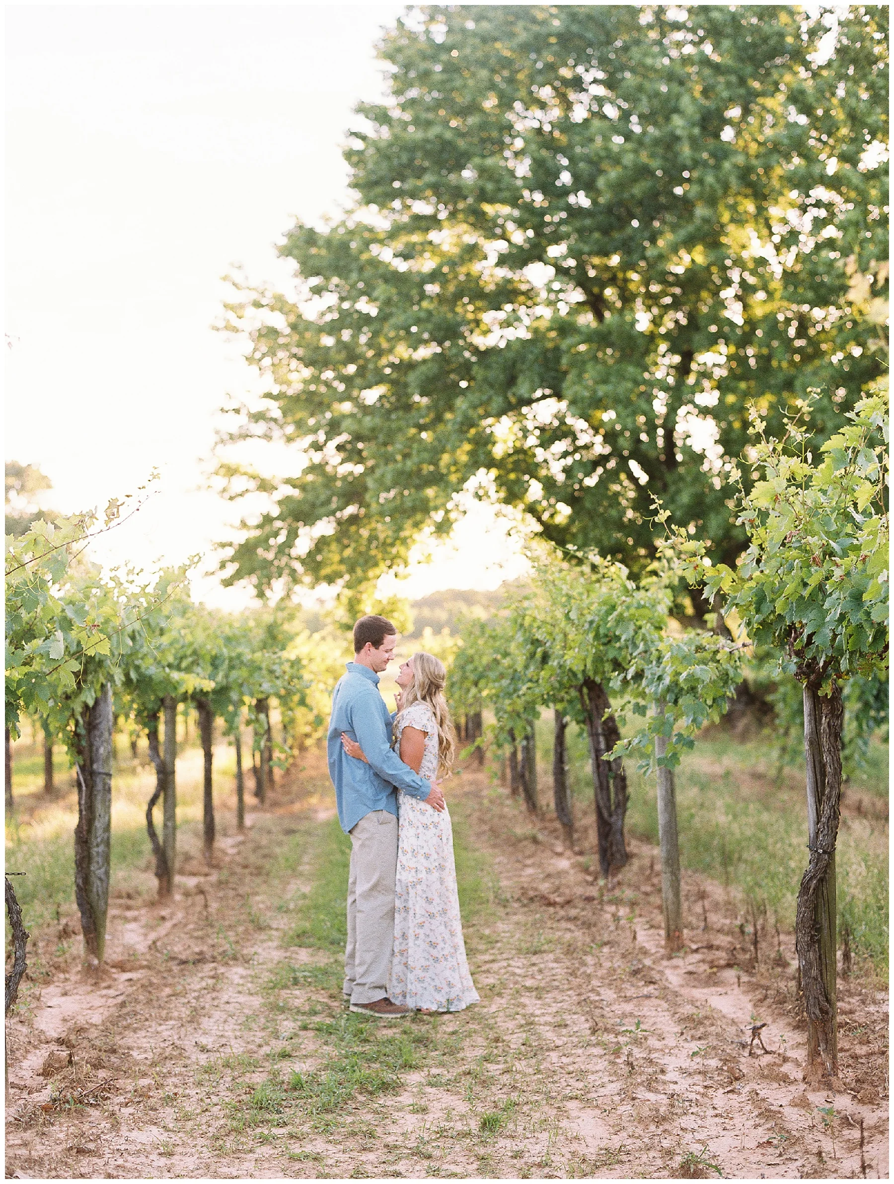 Vineyard Wedding engagement session_0064.jpg