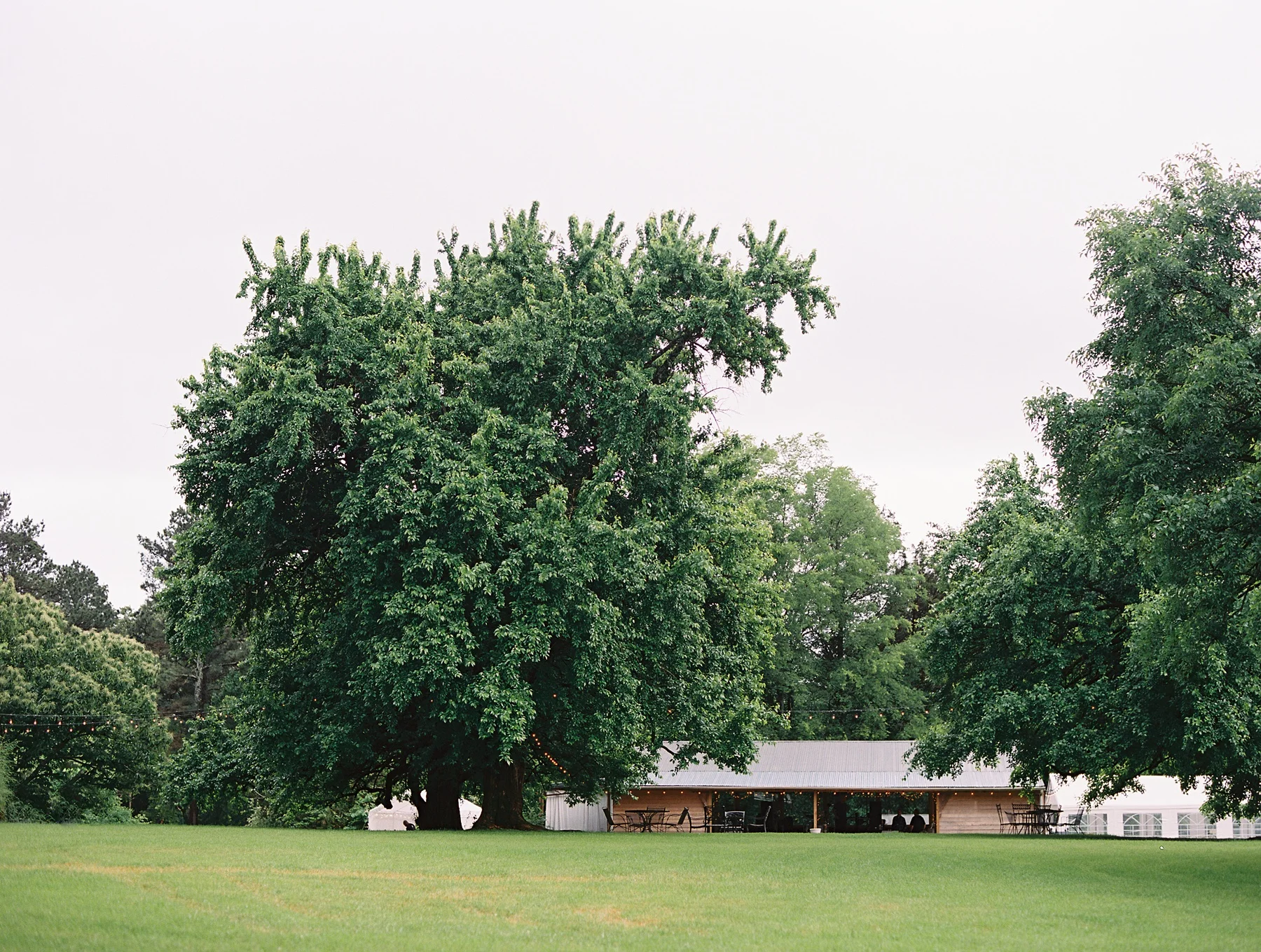 Hedge Farm Weddings Tennessee Wedding Photographer_0556.jpg