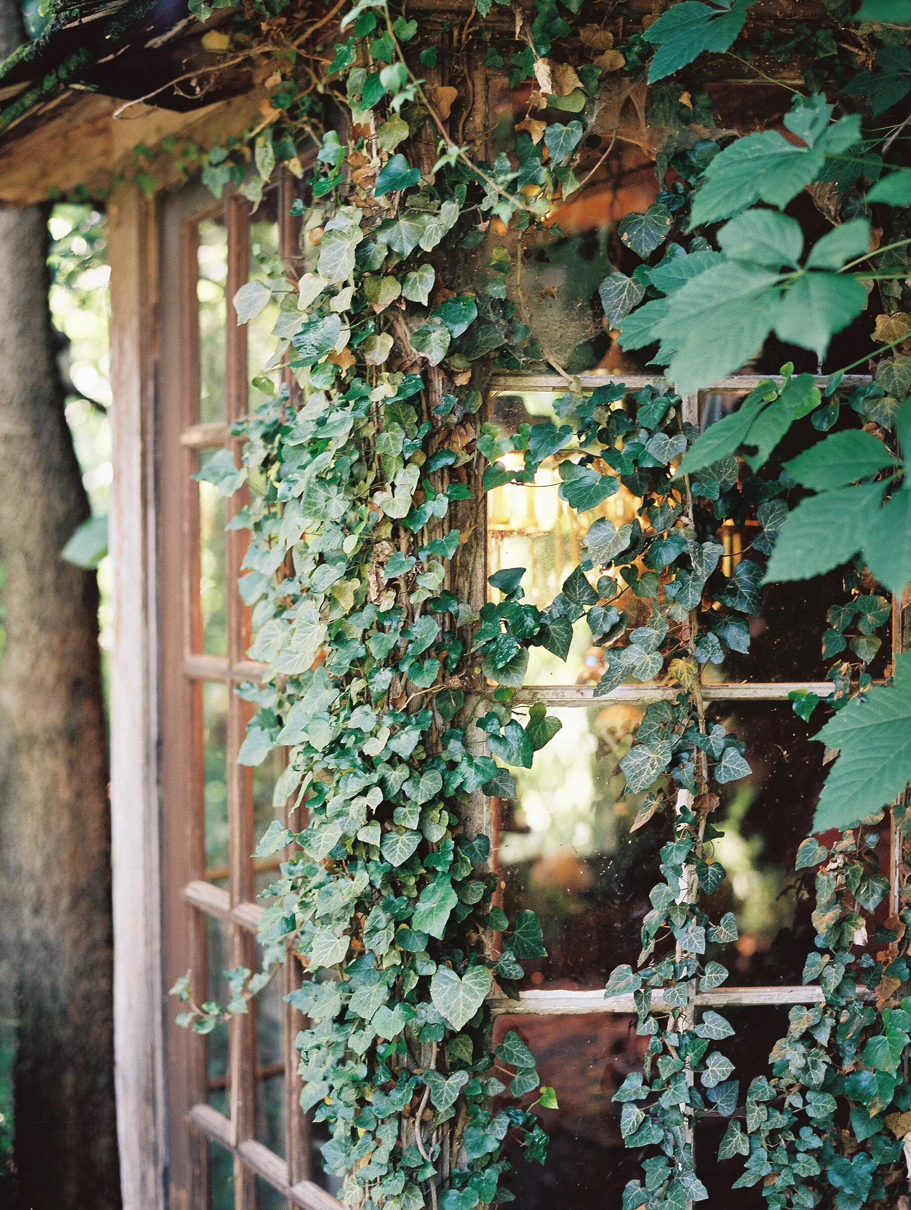 St Catherine's at Belle Gable Wedding_1092.jpg