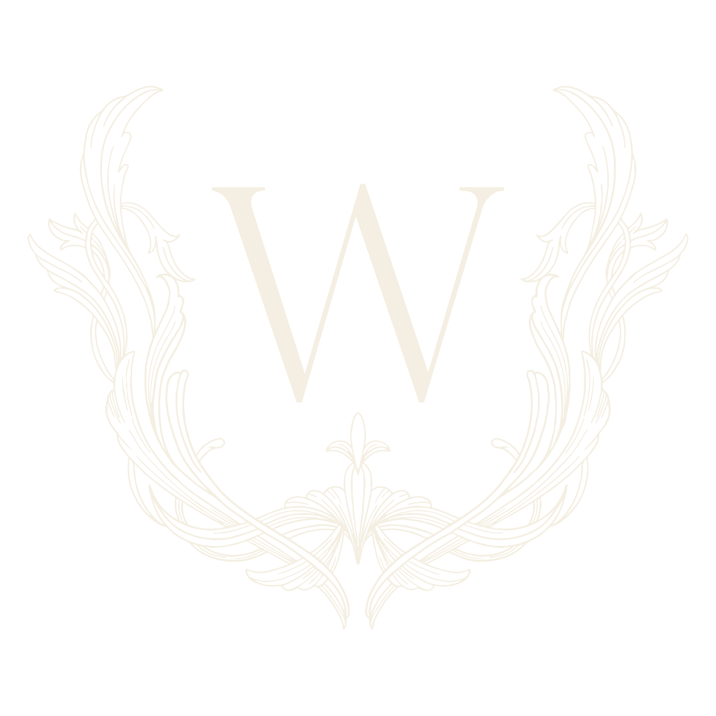 erin-wilson-photo-and-films