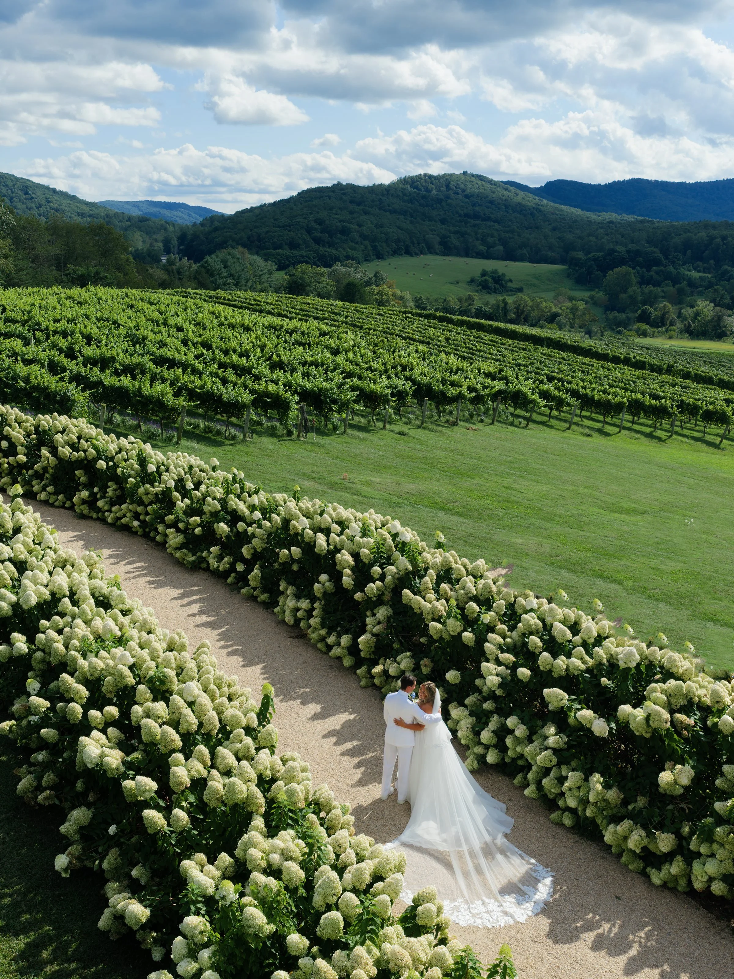 Kaitlyn and Cameron Pippin Hill001.jpg