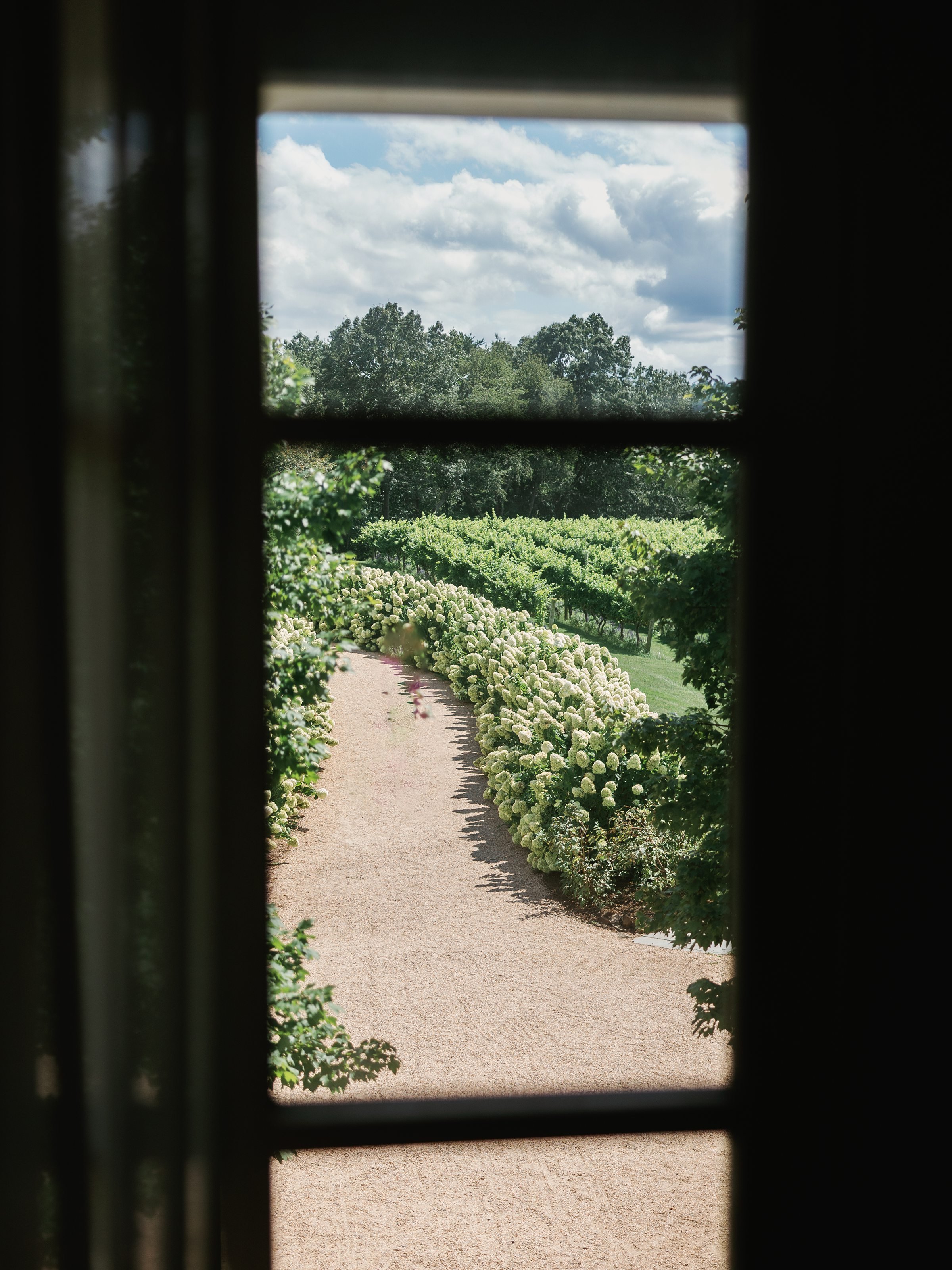 Kaitlyn and Cameron Pippin Hill007.jpg