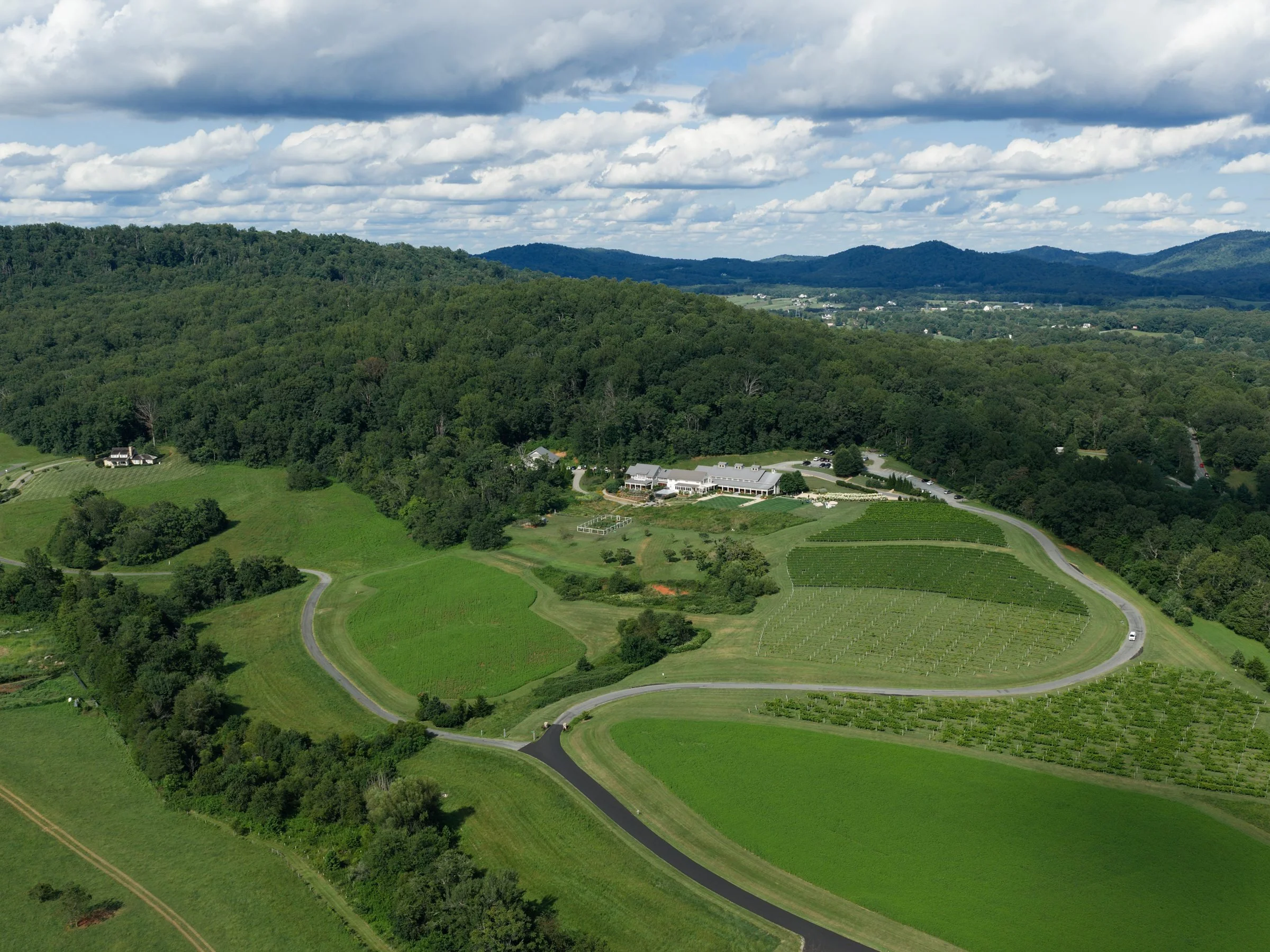 Kaitlyn and Cameron Pippin Hill017.jpg