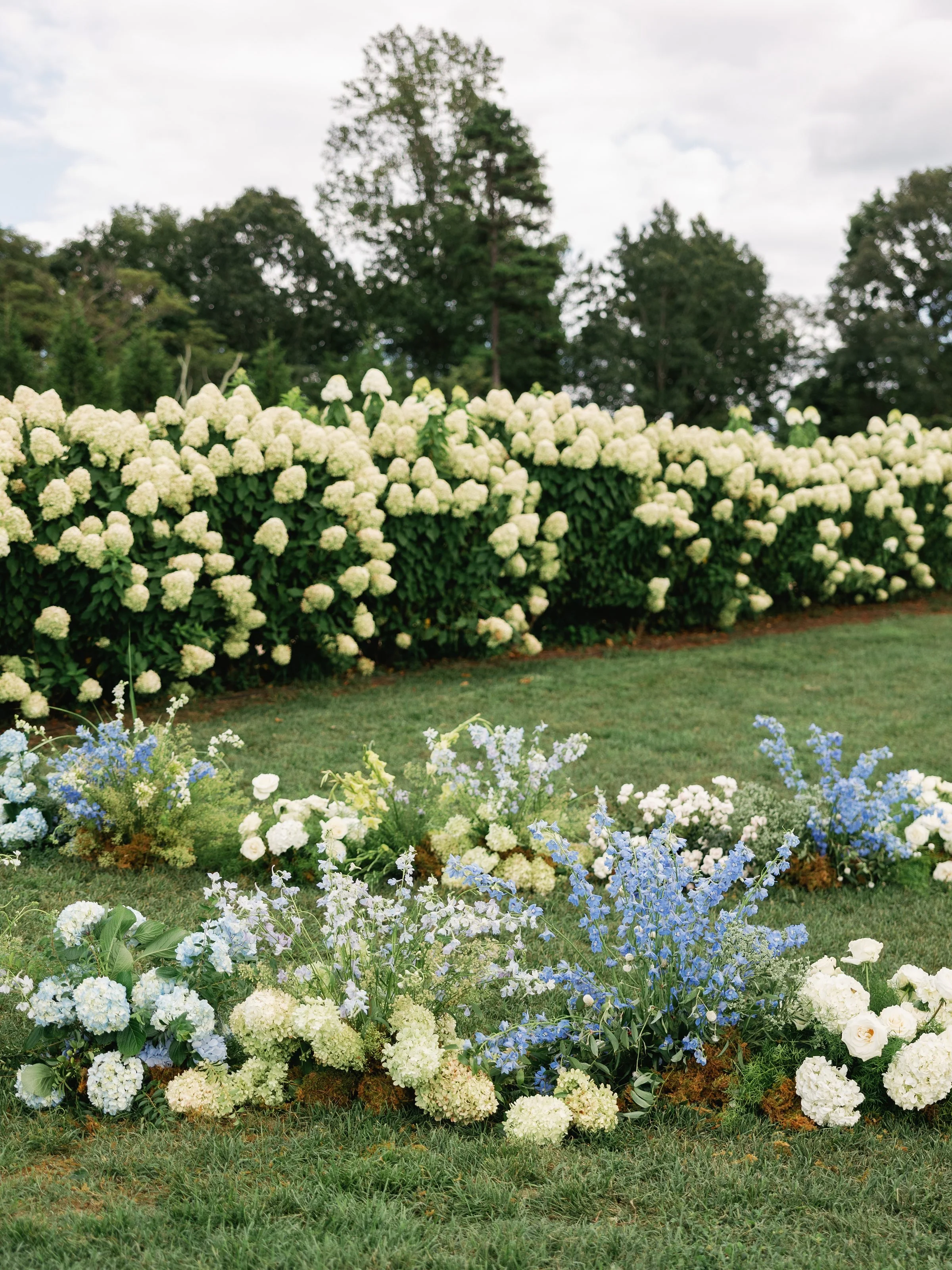 Kaitlyn and Cameron Pippin Hill052.jpg