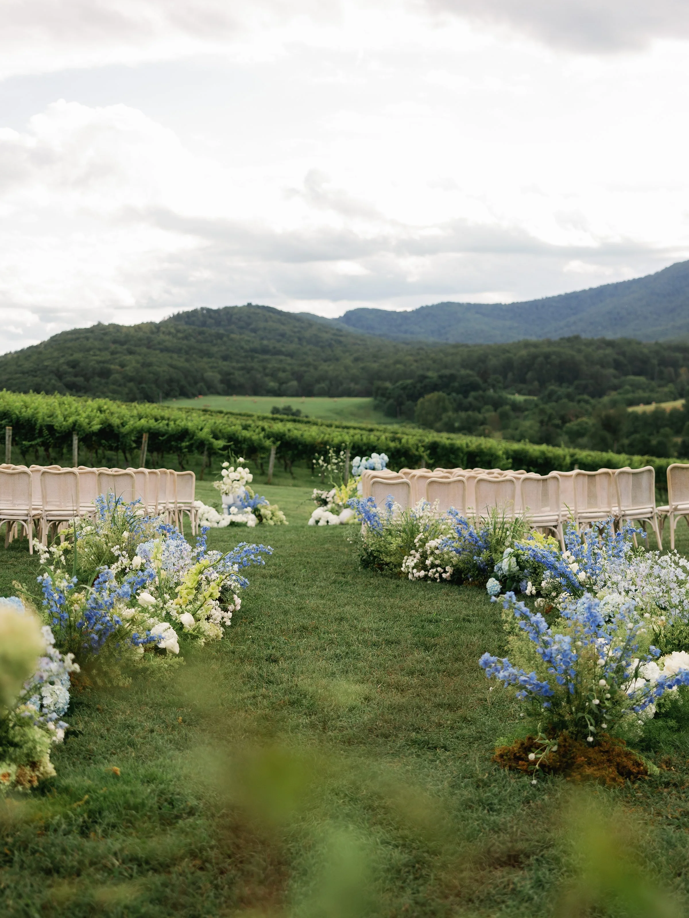 Kaitlyn and Cameron Pippin Hill053.jpg
