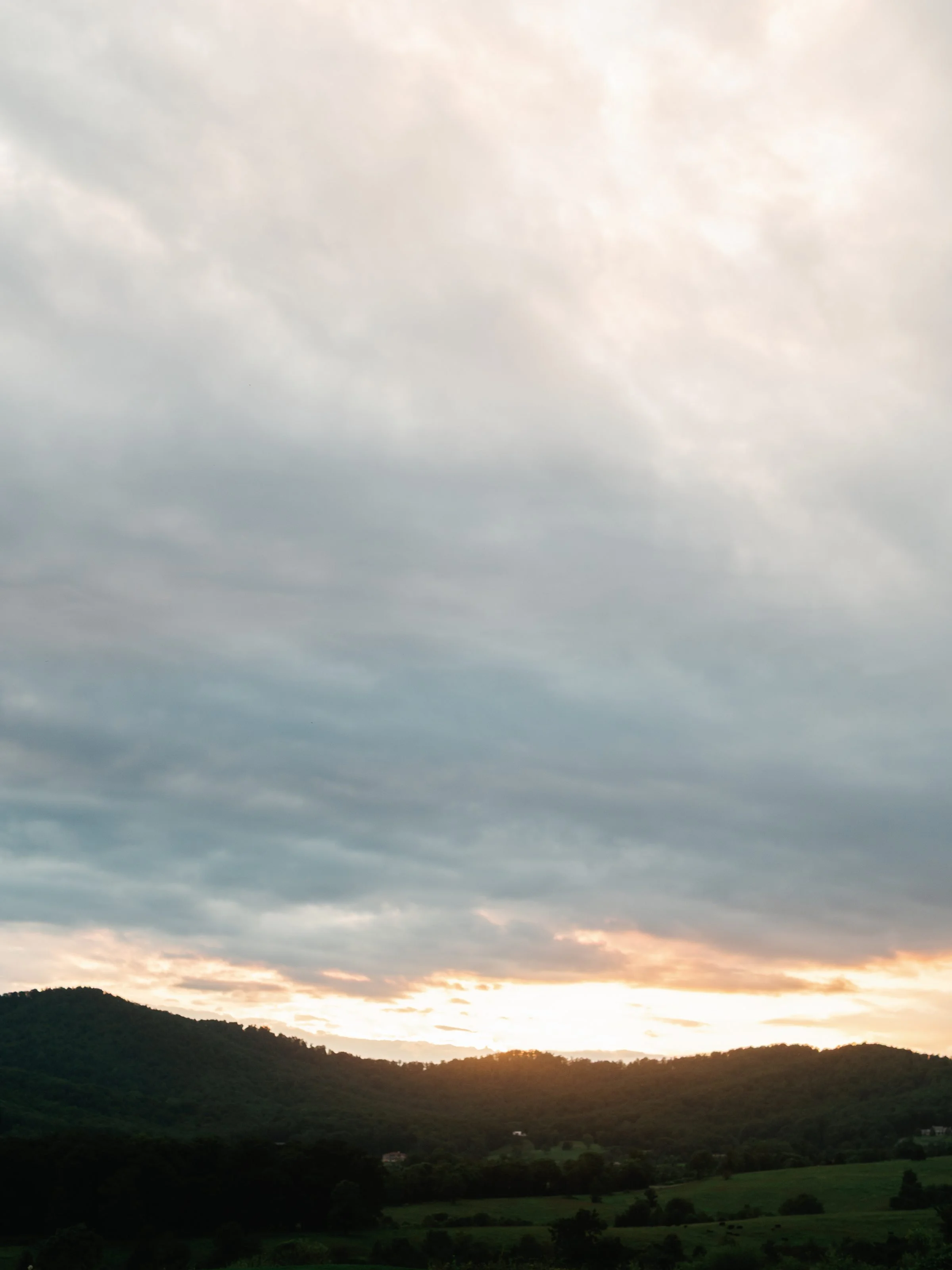 Kaitlyn and Cameron Pippin Hill107.jpg