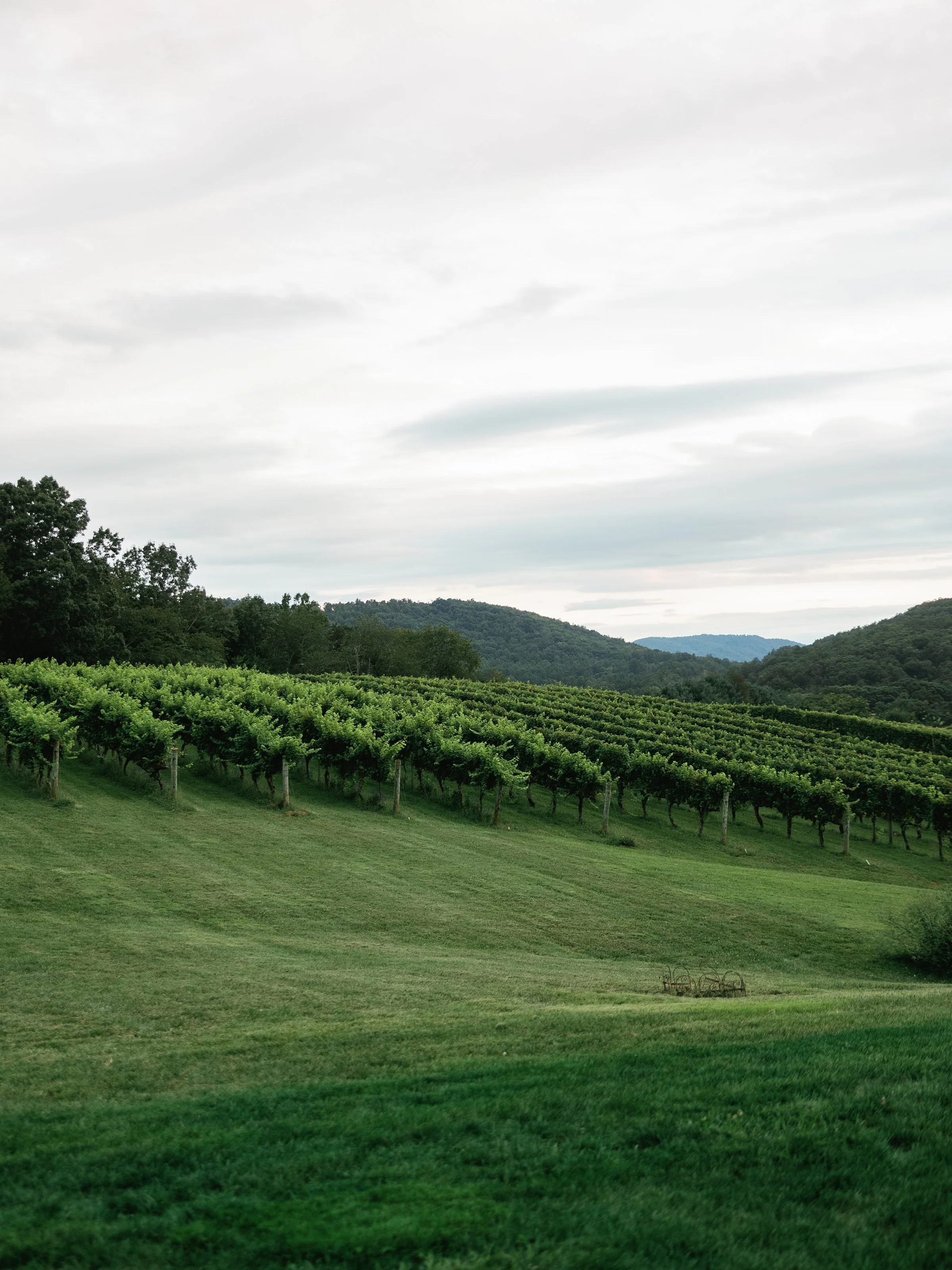 Kaitlyn and Cameron Pippin Hill114.jpg