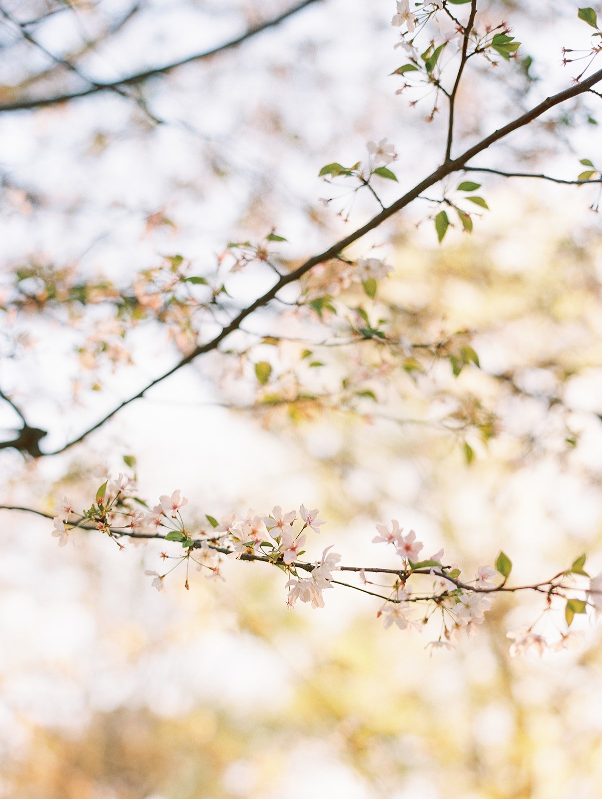 Mallory Family 2021-105.jpg