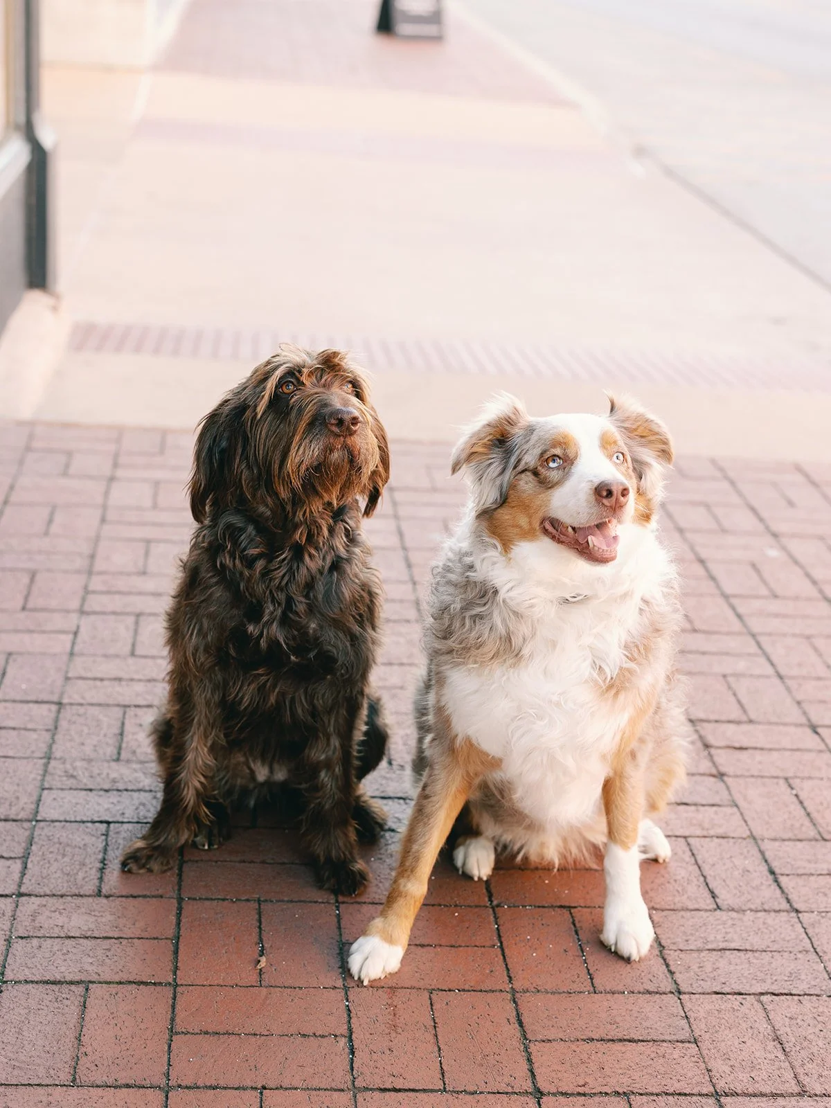 Ainsley and Garrett-90.jpg