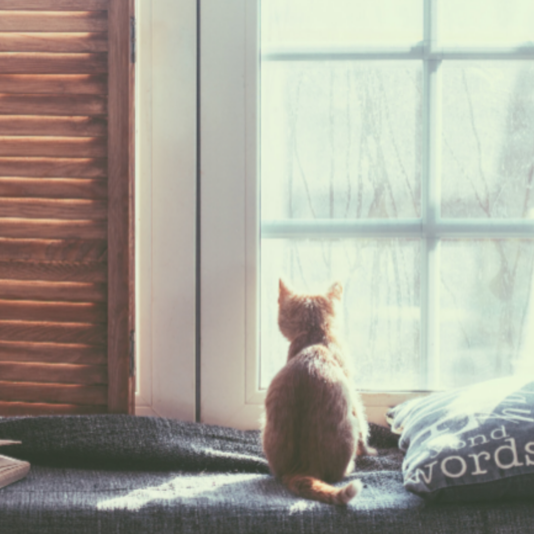 The Art of Slow Living