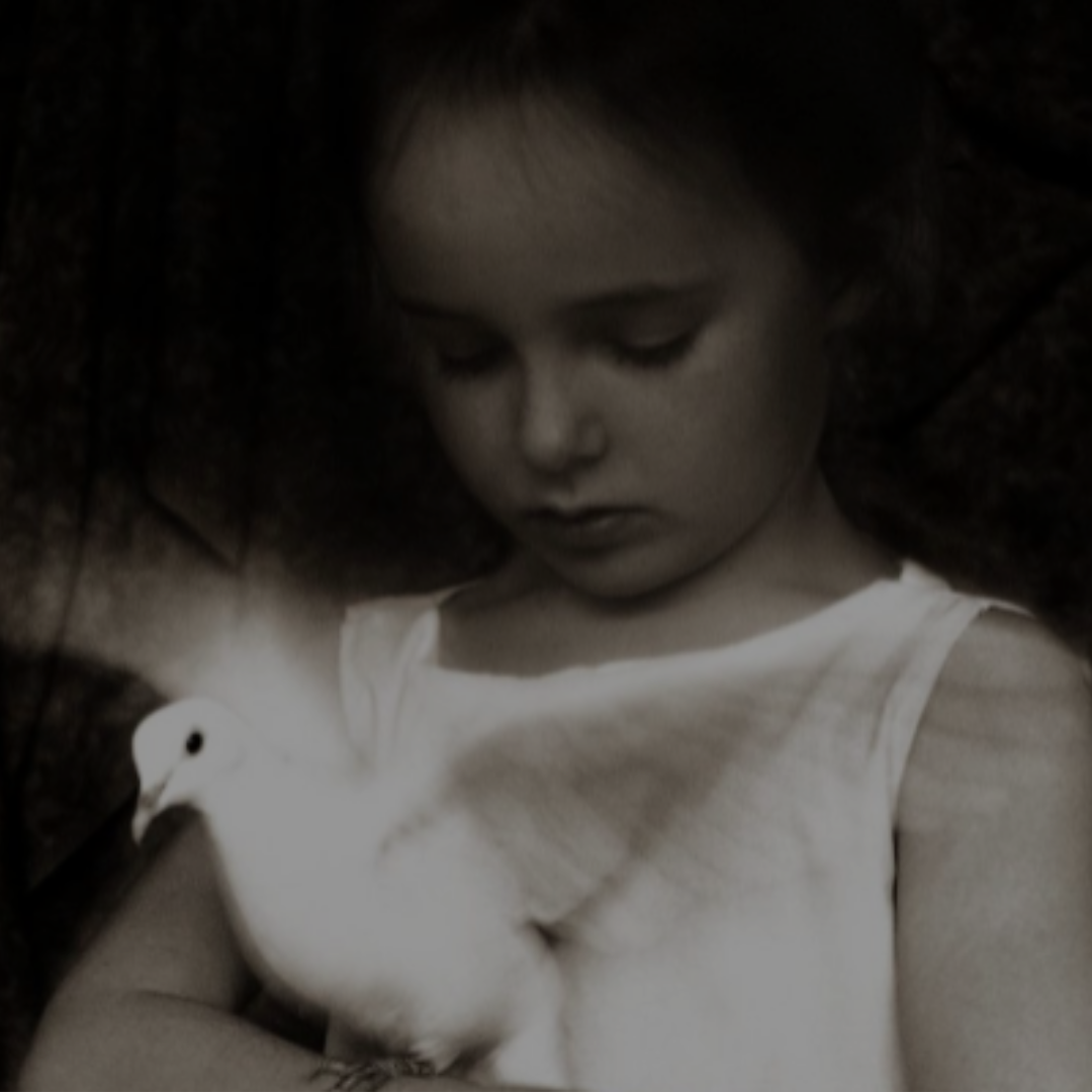 To Poulaki Mou (My Little Bird)