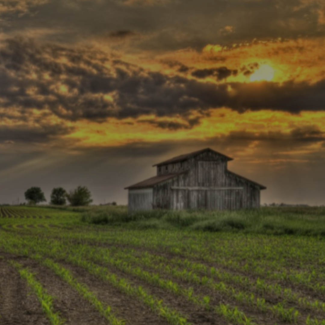 Fairfield, Iowa: A Cast of 10,000, As Themselves