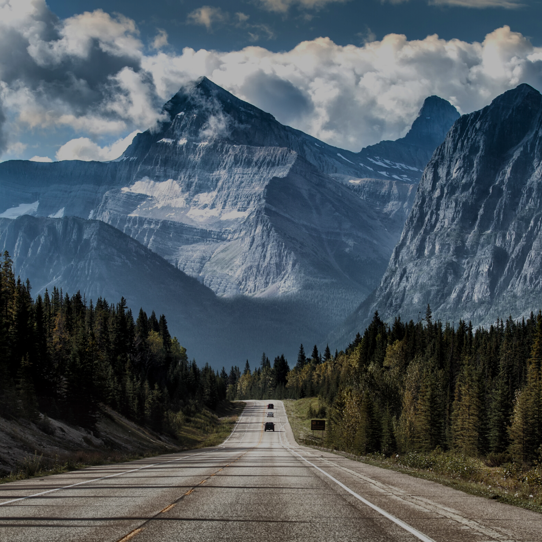 All Who Wander Are Not Lost