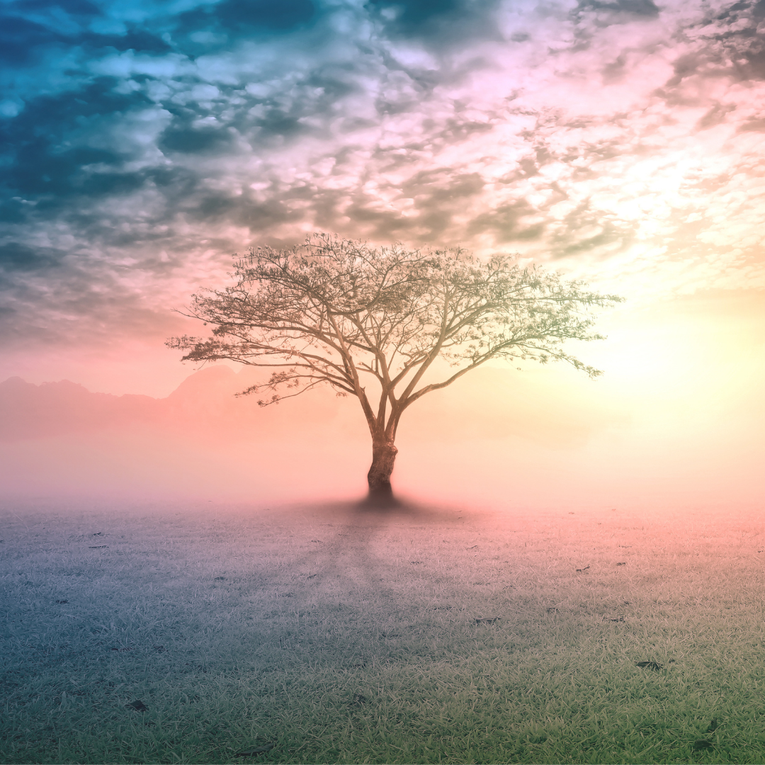 A Spiritual Emergency